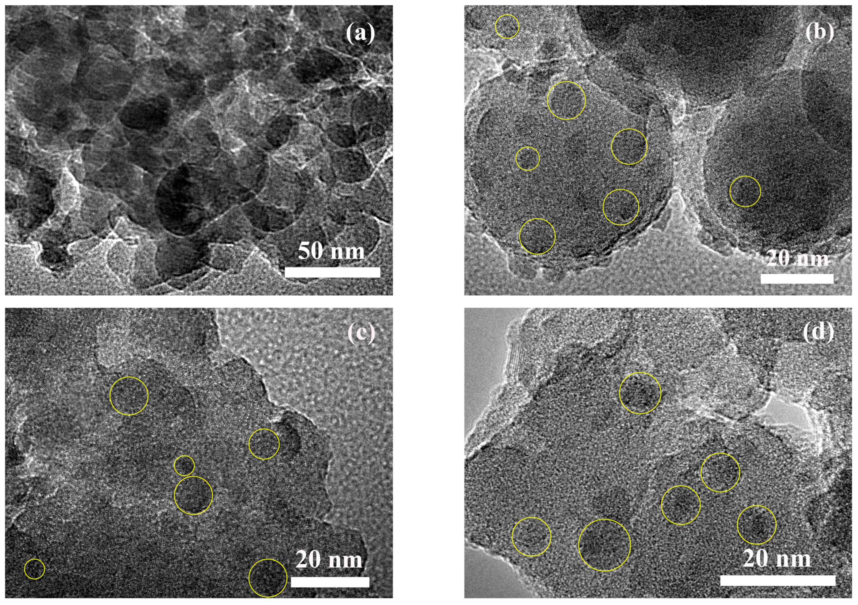 Molecules 29 03856 g006