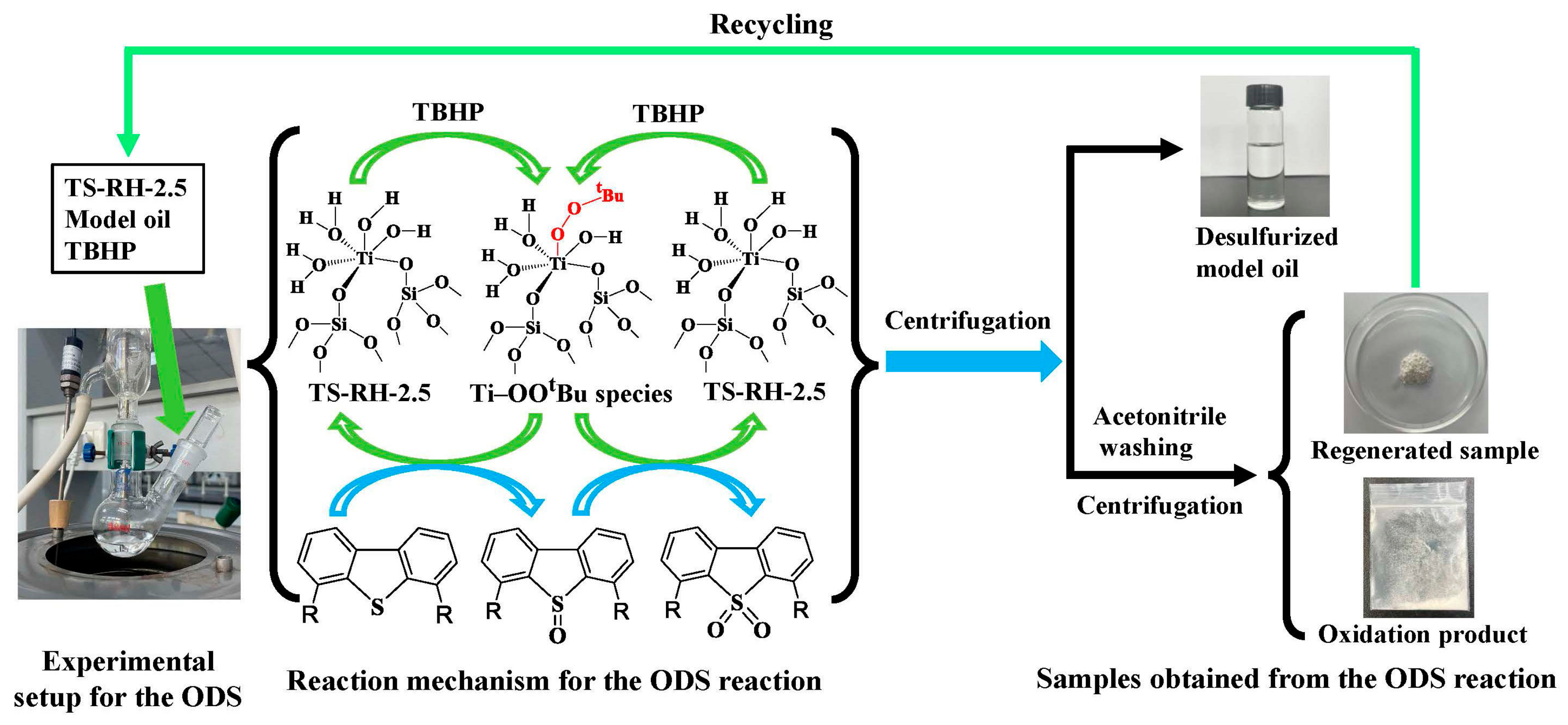 Molecules 29 03856 sch001