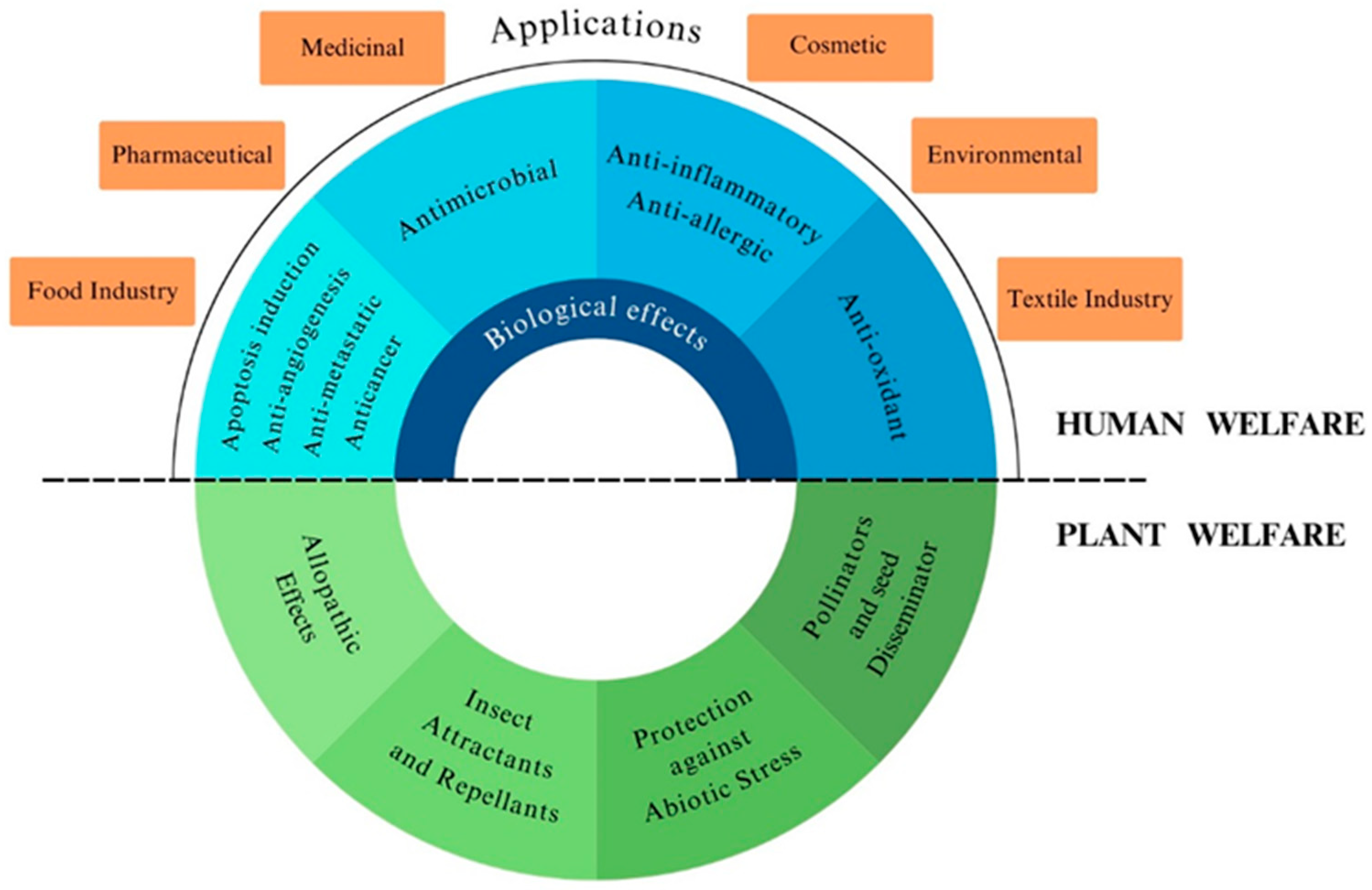 Molecules 29 03861 g001