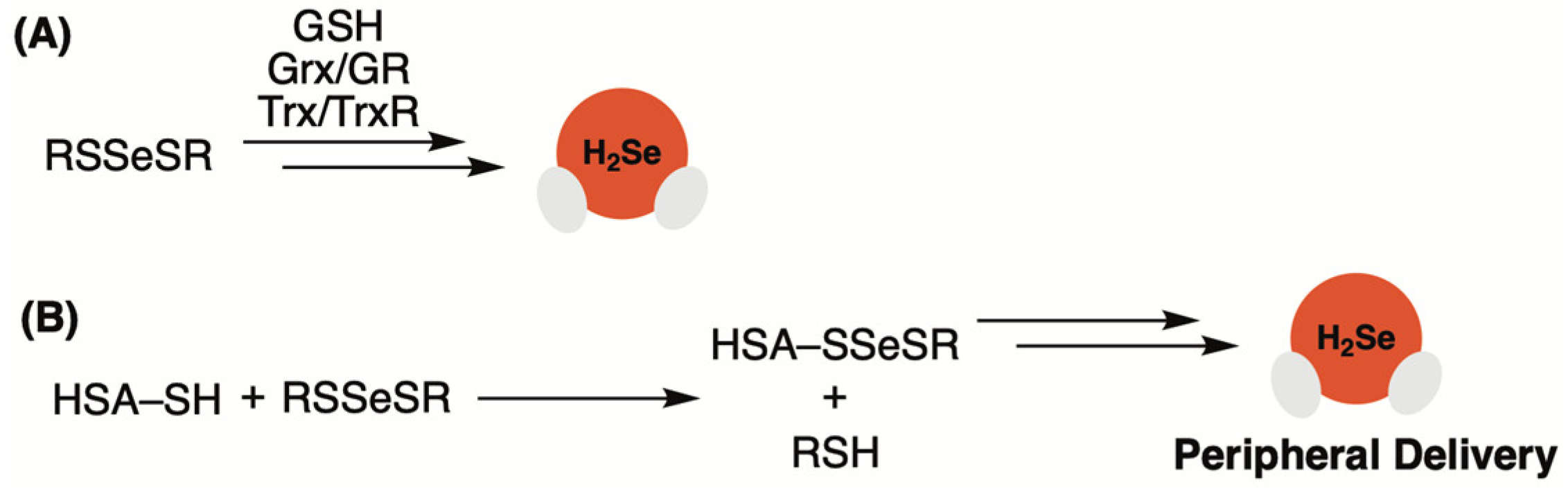 Molecules 29 03863 g002 Molecules 29 03863 g002
