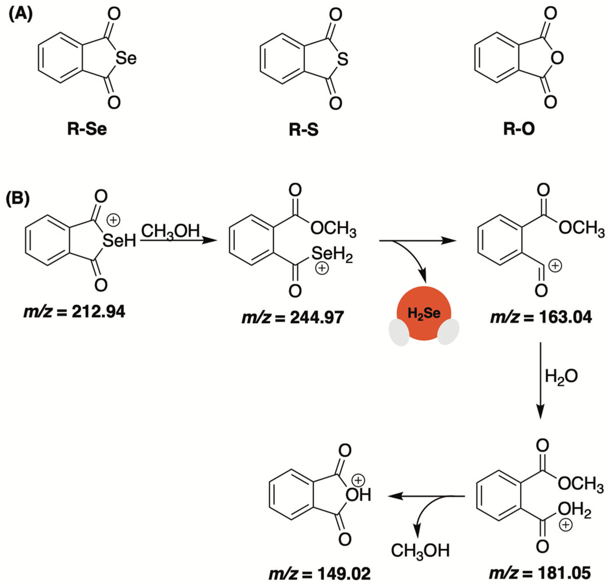 Molecules 29 03863 g003 Molecules 29 03863 g003