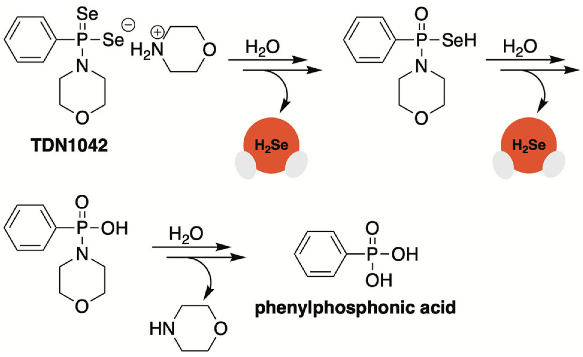 Molecules 29 03863 g004 Molecules 29 03863 g004