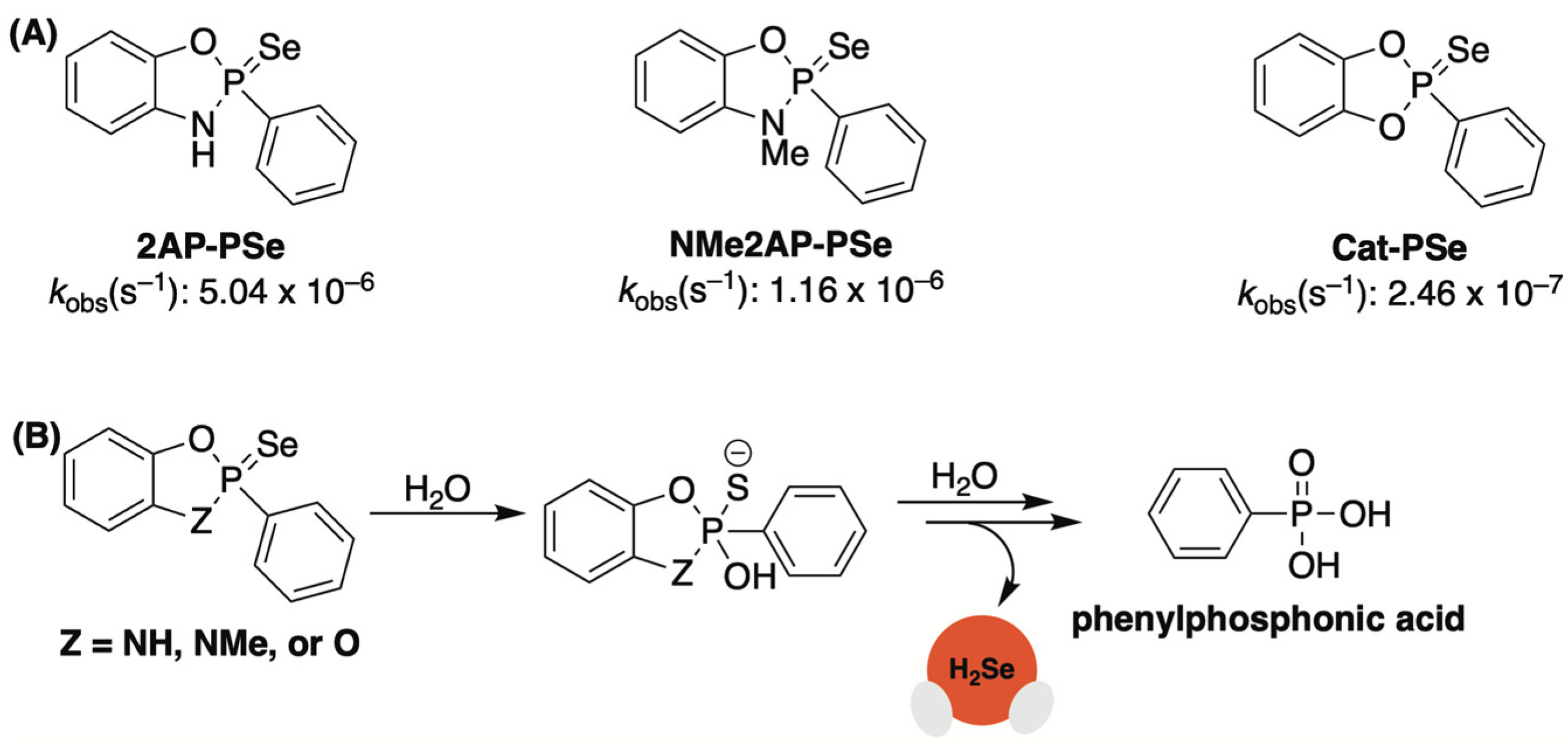 Molecules 29 03863 g005 Molecules 29 03863 g005