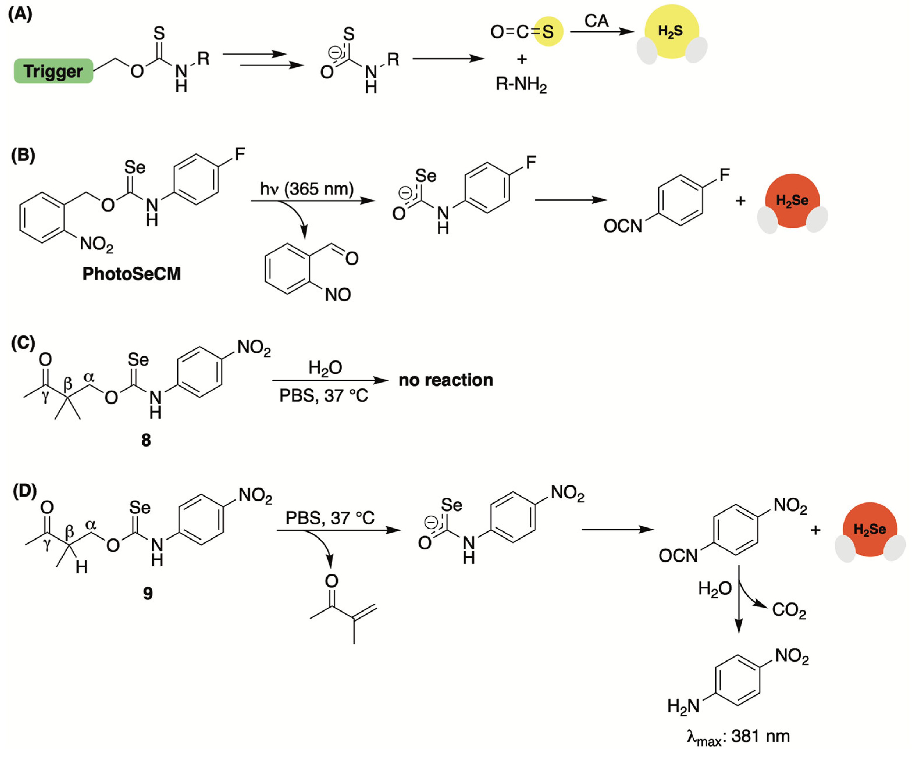 Molecules 29 03863 g007 Molecules 29 03863 g007