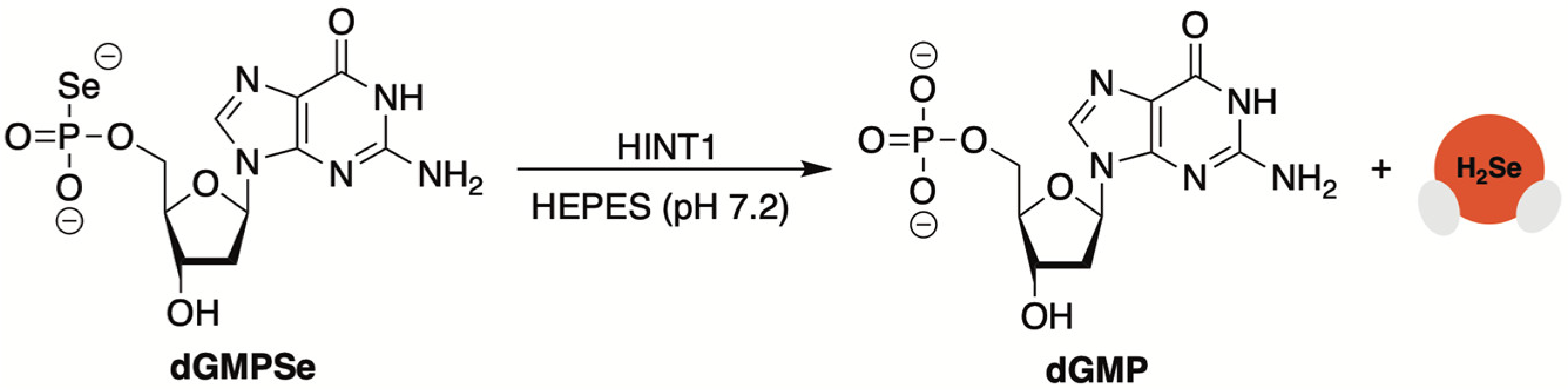 Molecules 29 03863 g009 Molecules 29 03863 g009