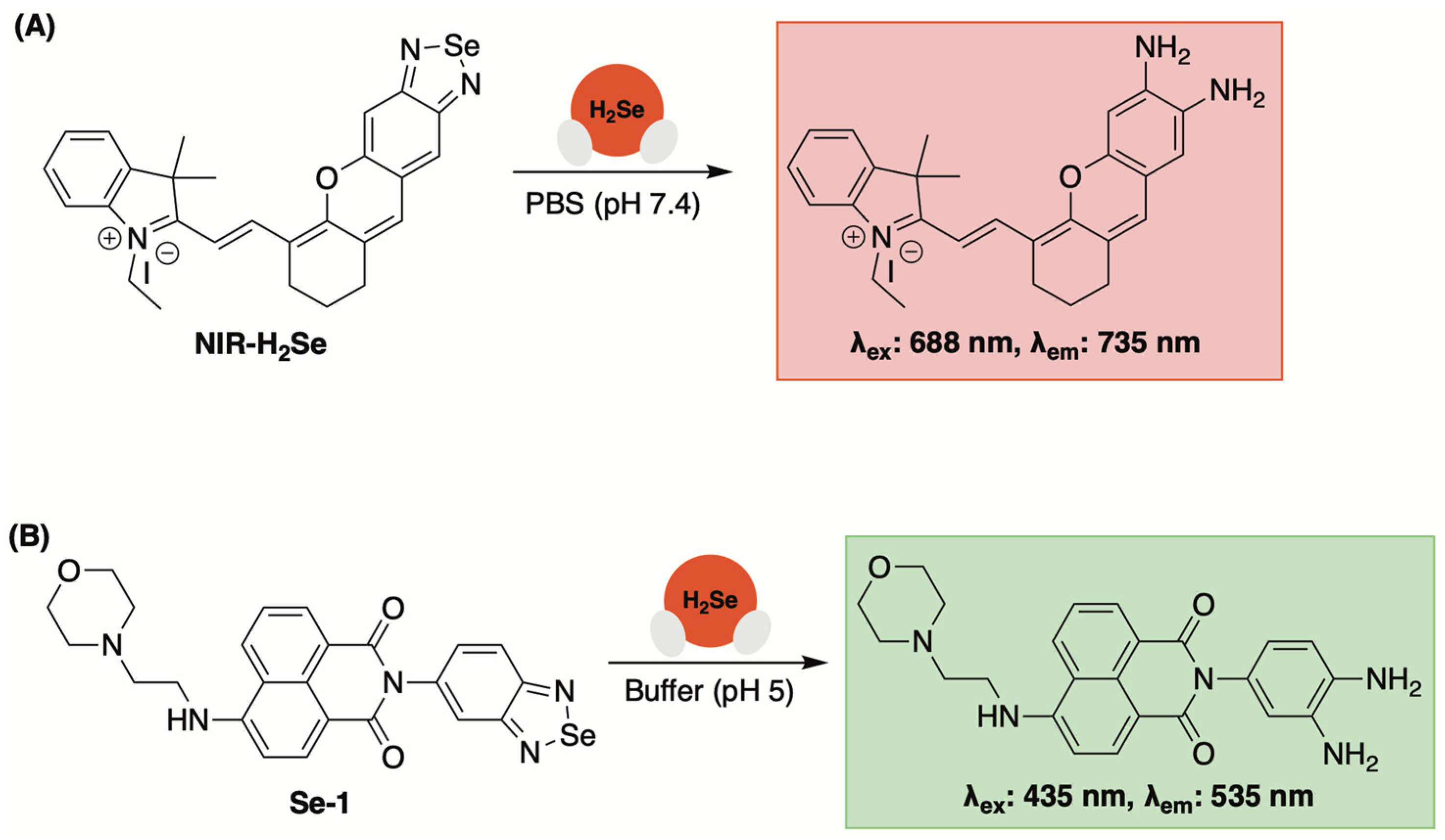 Molecules 29 03863 g011 Molecules 29 03863 g011