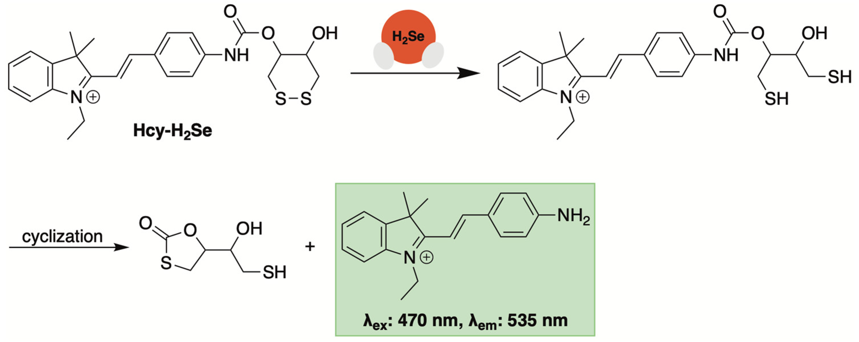 Molecules 29 03863 g012 Molecules 29 03863 g012