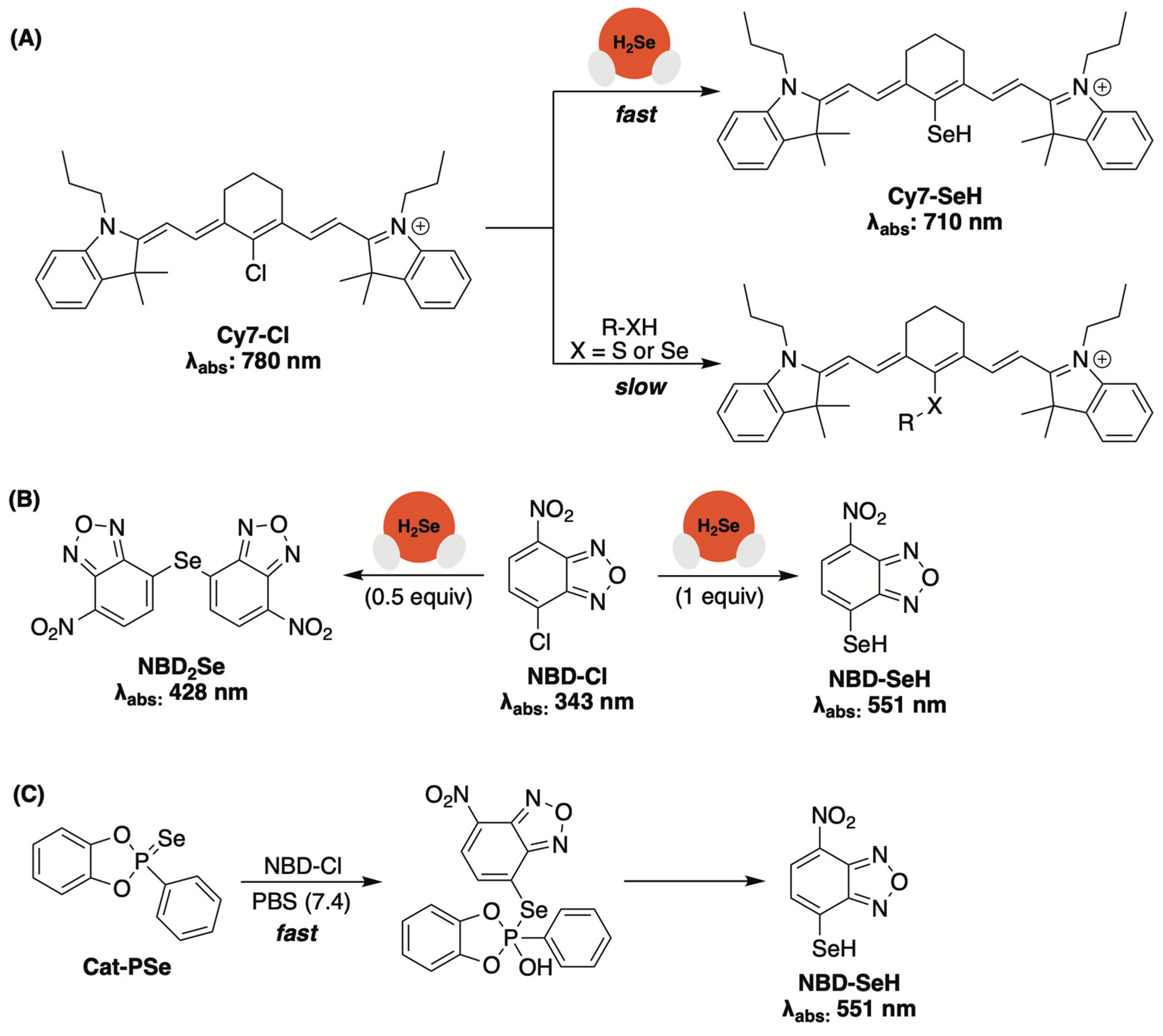 Molecules 29 03863 g013 Molecules 29 03863 g013