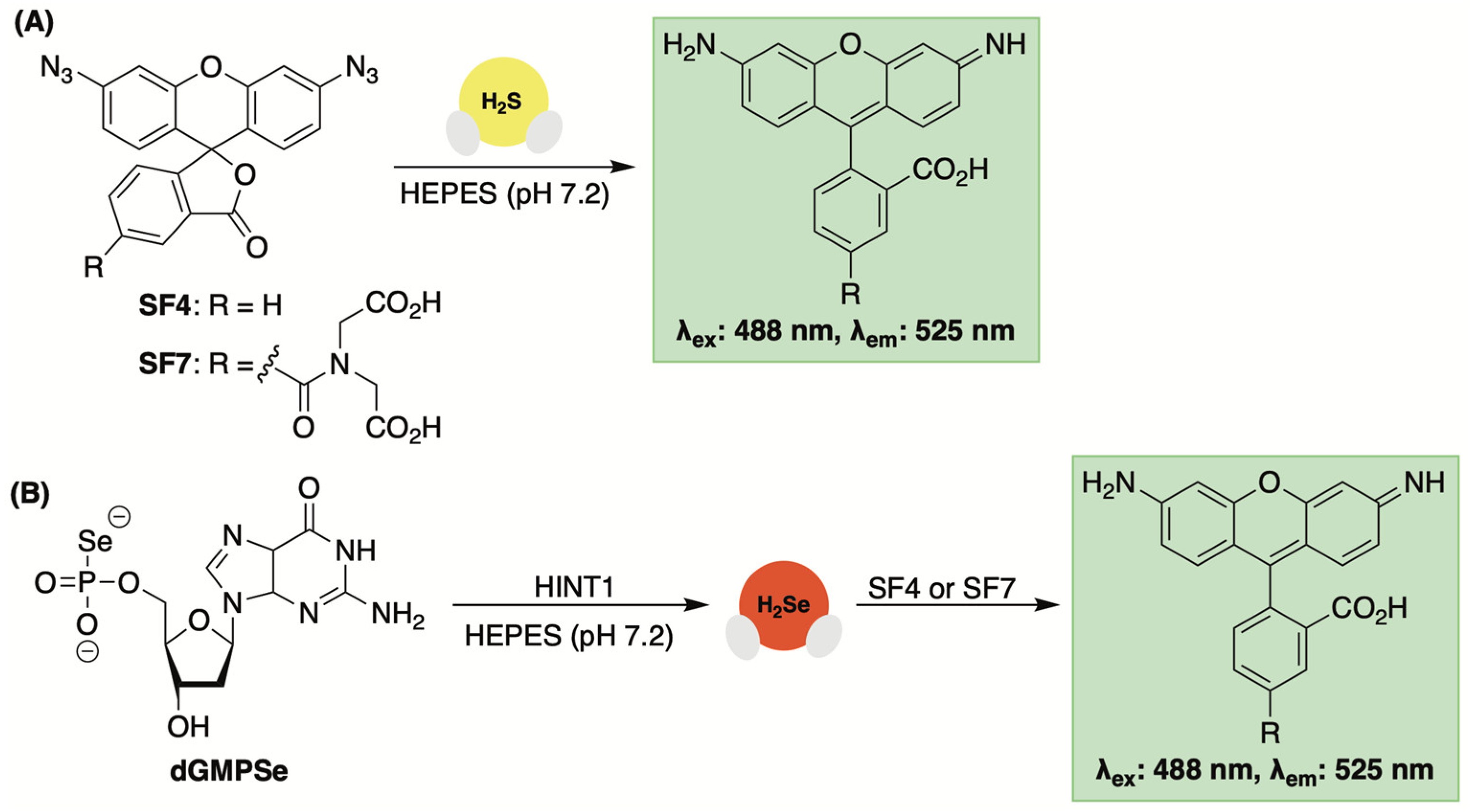 Molecules 29 03863 g014 Molecules 29 03863 g014