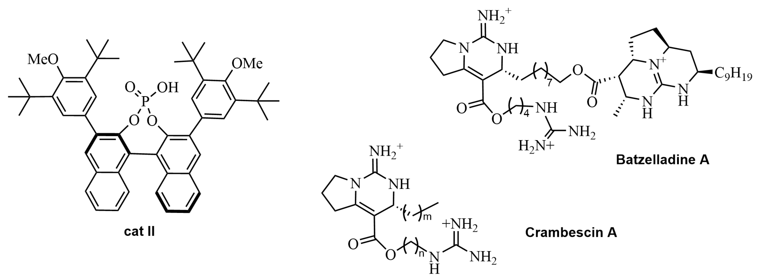 Molecules 29 03864 g001