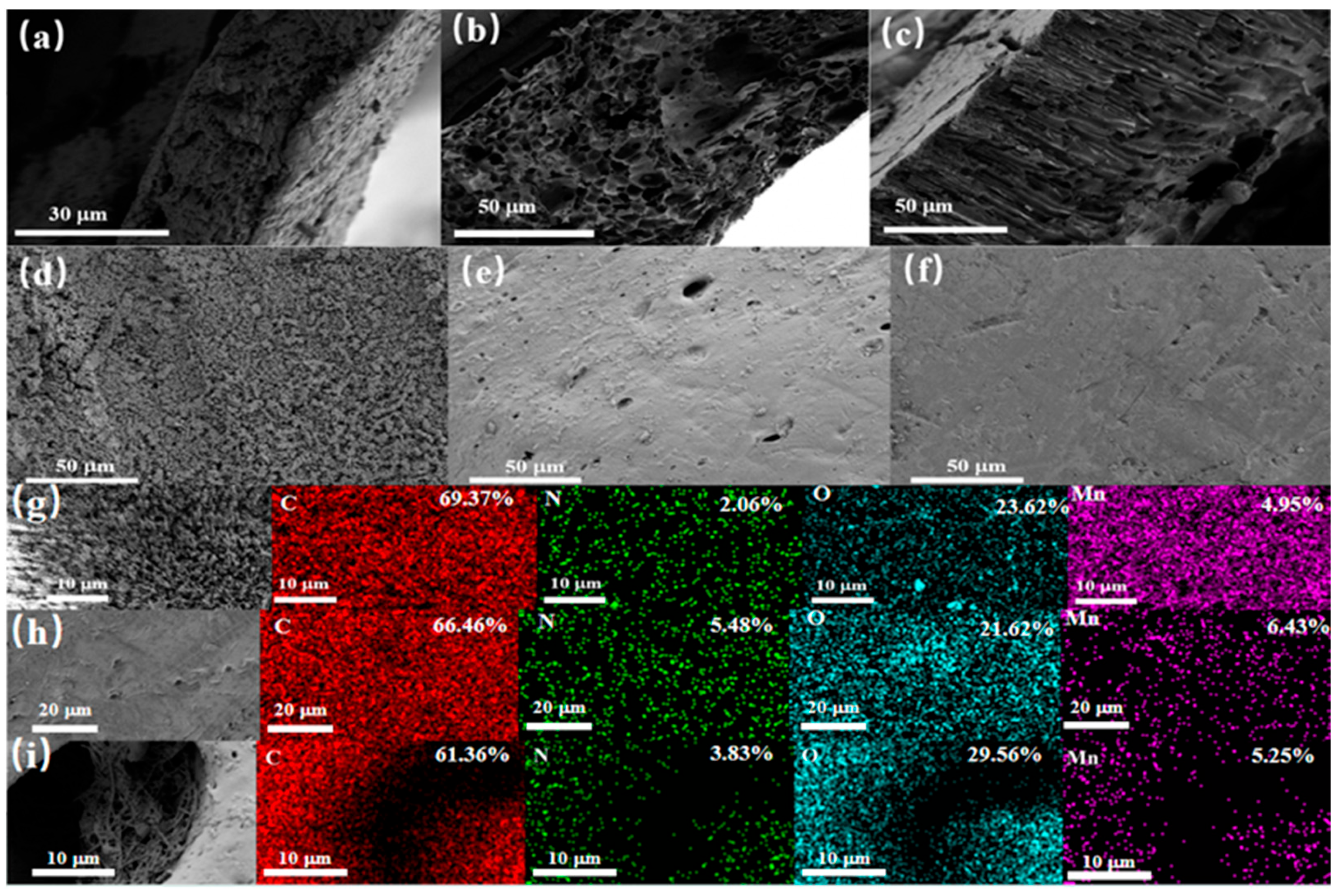 Molecules 29 03868 g005