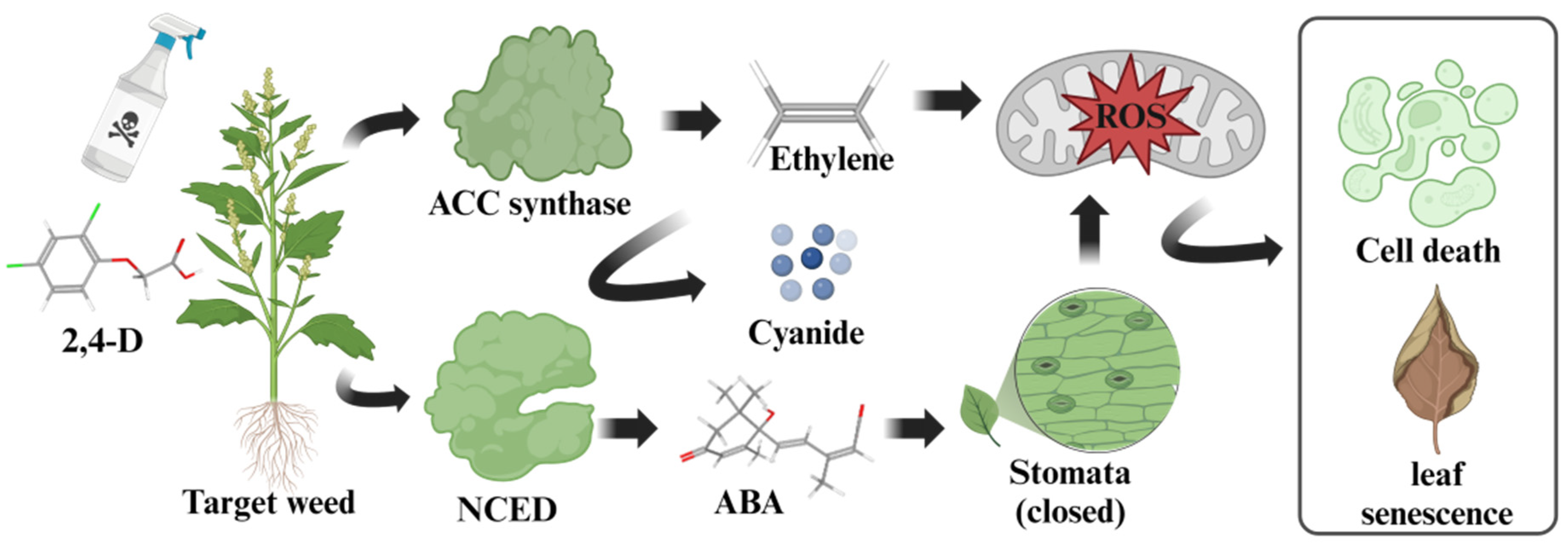Molecules 29 03869 g002 Molecules 29 03869 g002