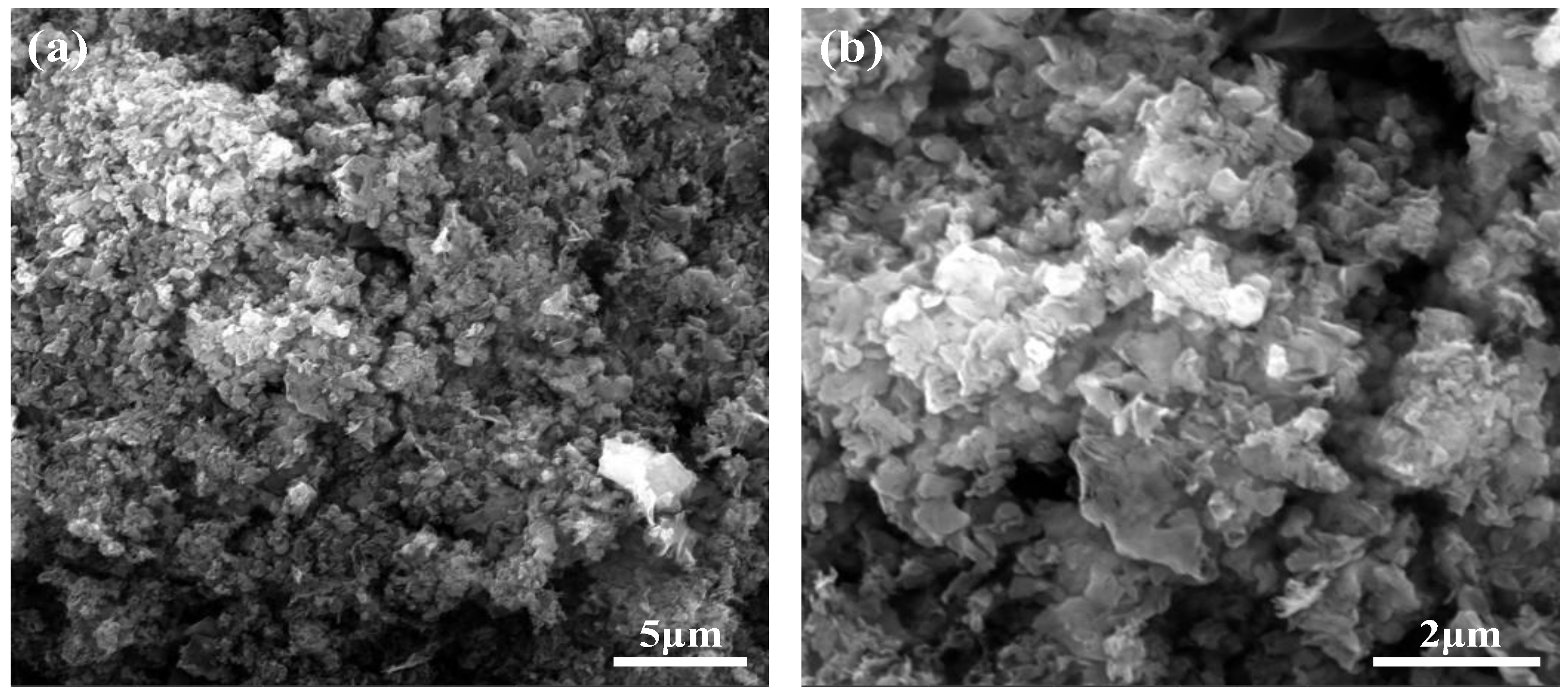 Molecules 29 03871 g003