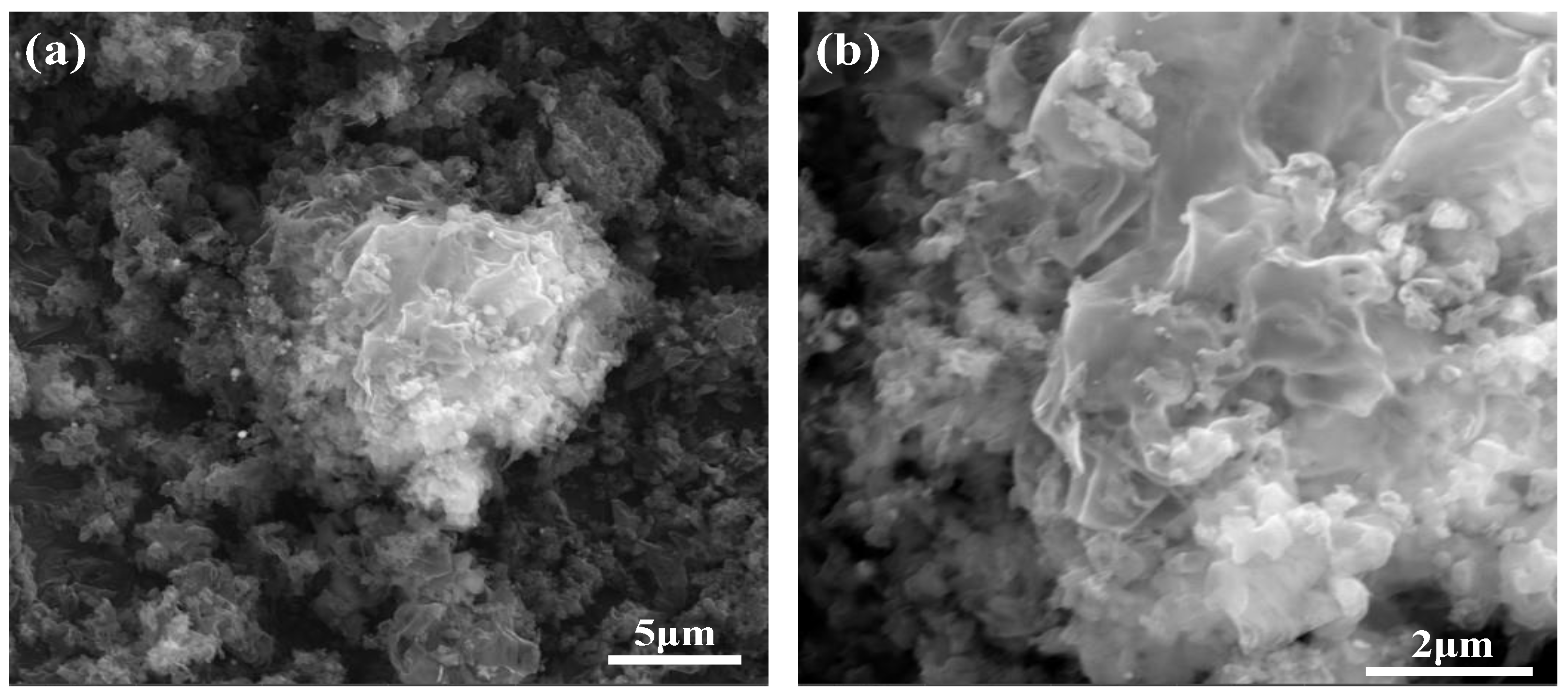 Molecules 29 03871 g004