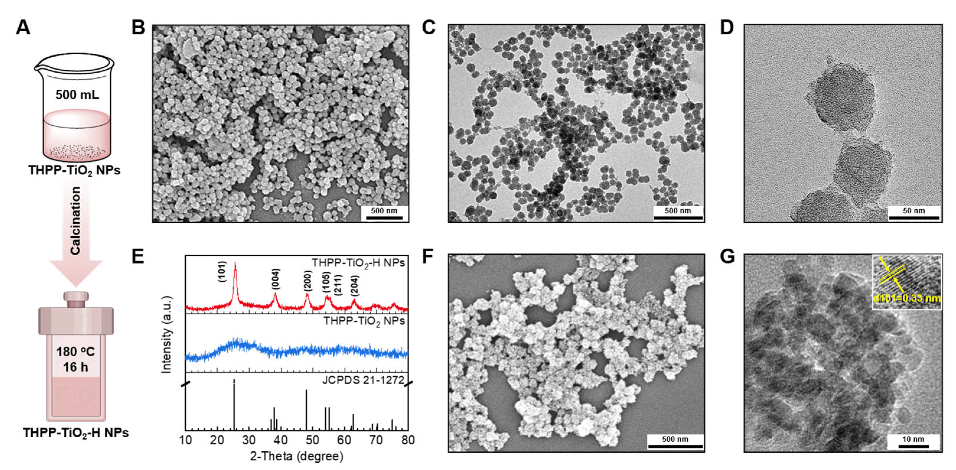 Molecules 29 03872 g004