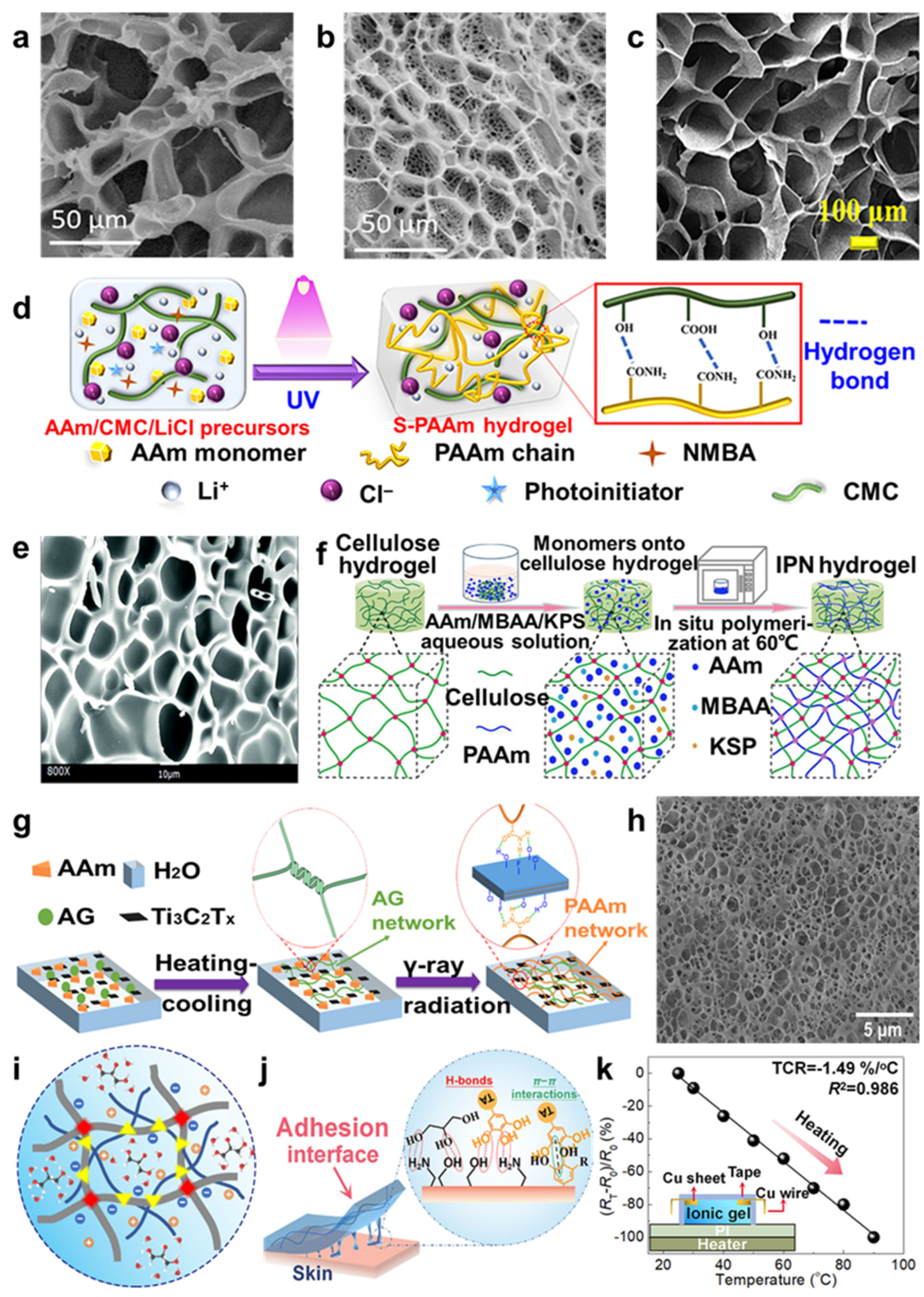 Molecules 29 03883 g003