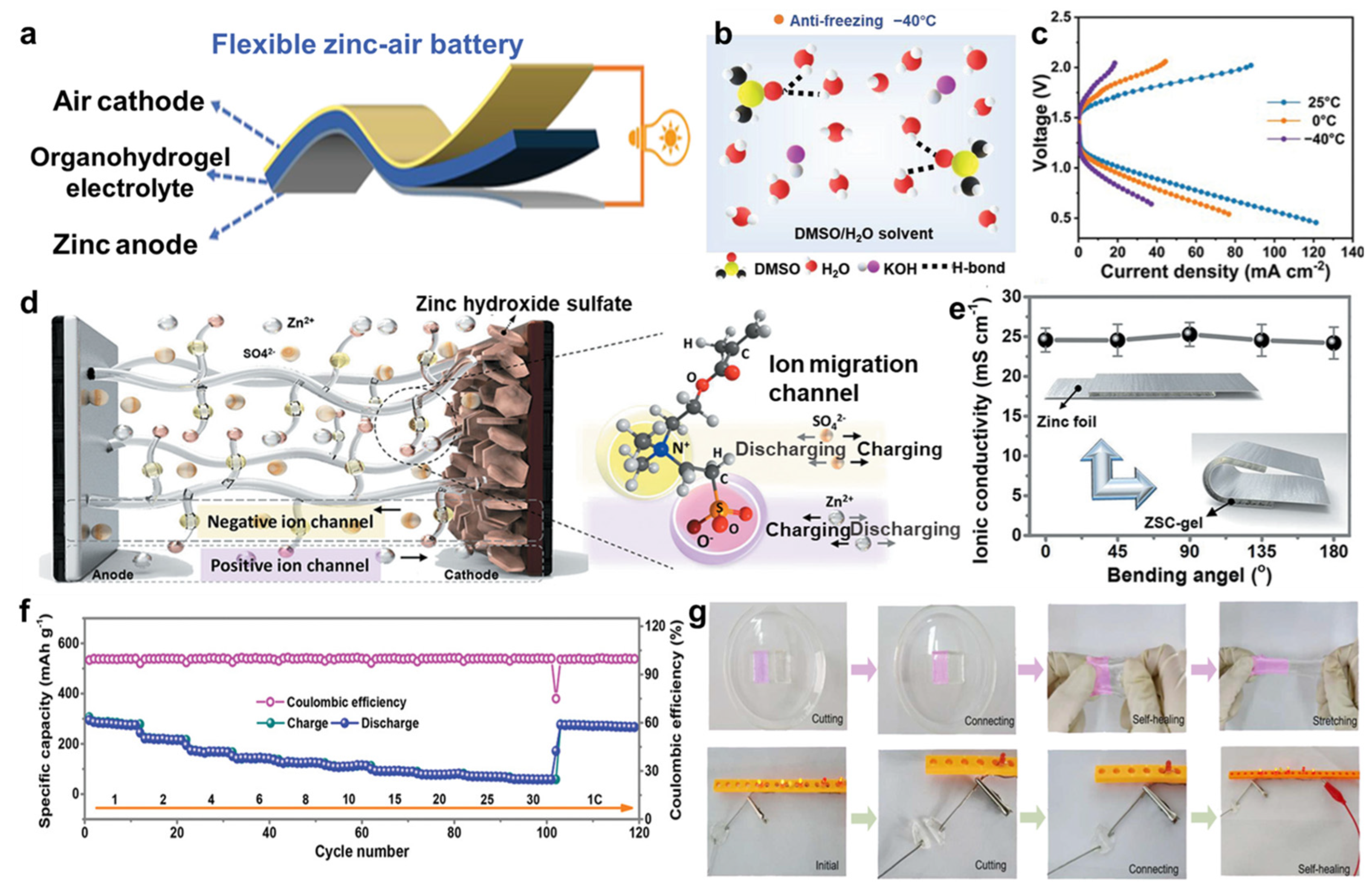 Molecules 29 03883 g012