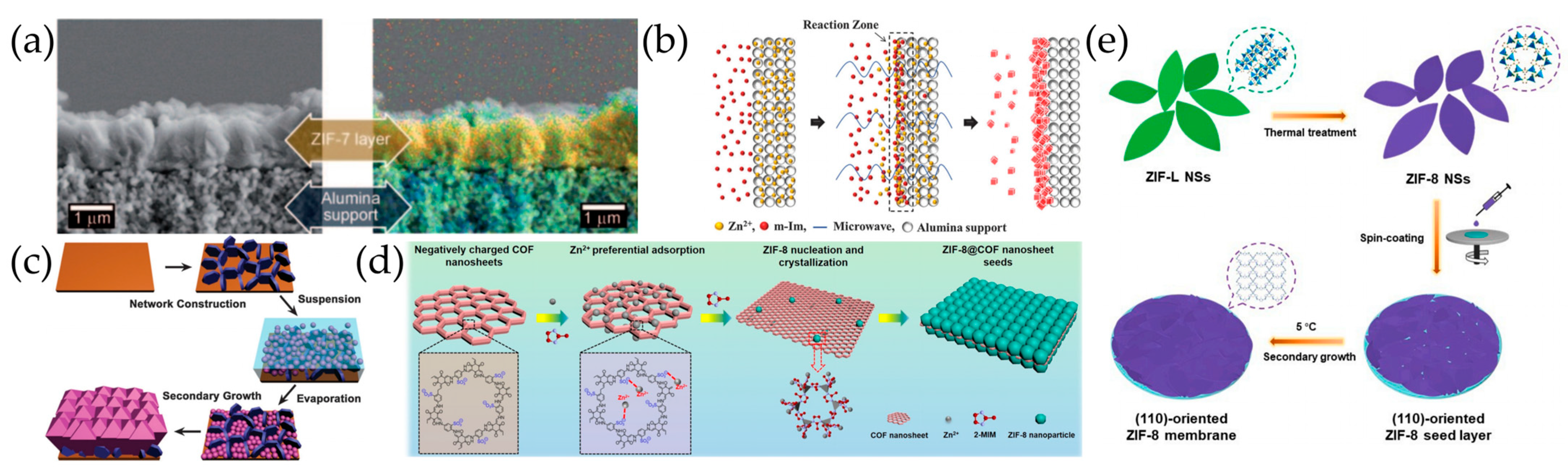 Molecules 29 03885 g003