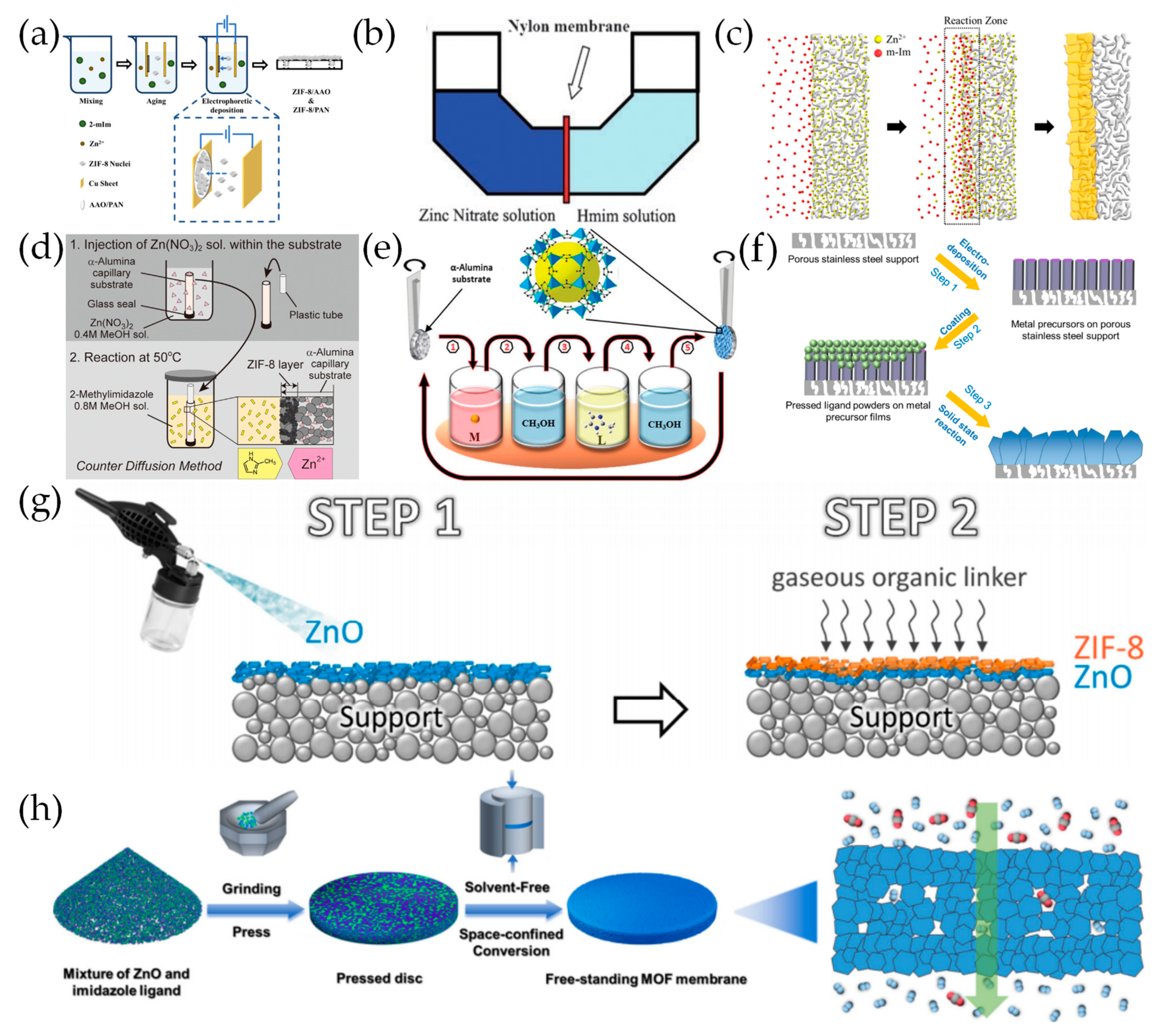 Molecules 29 03885 g004
