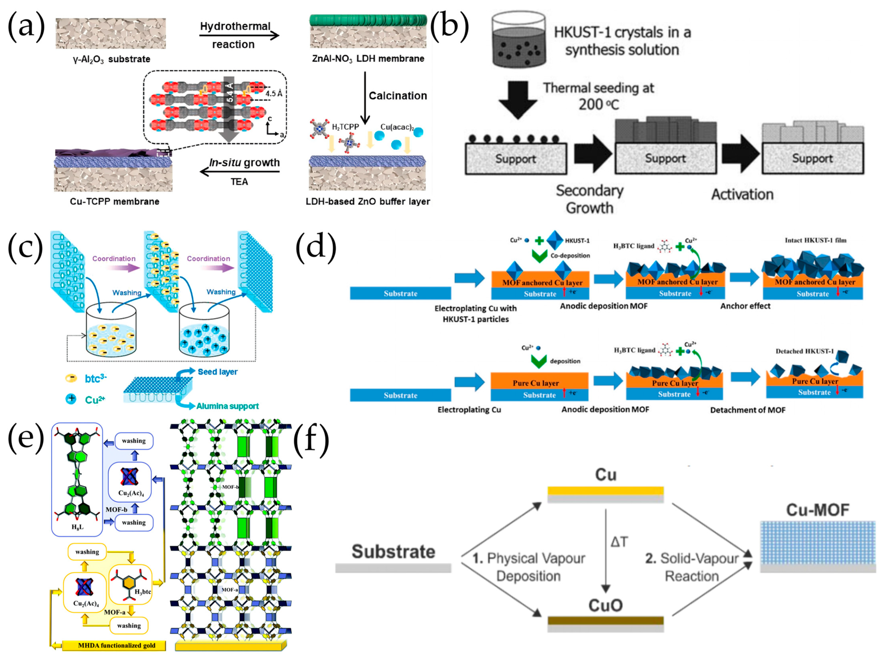 Molecules 29 03885 g005