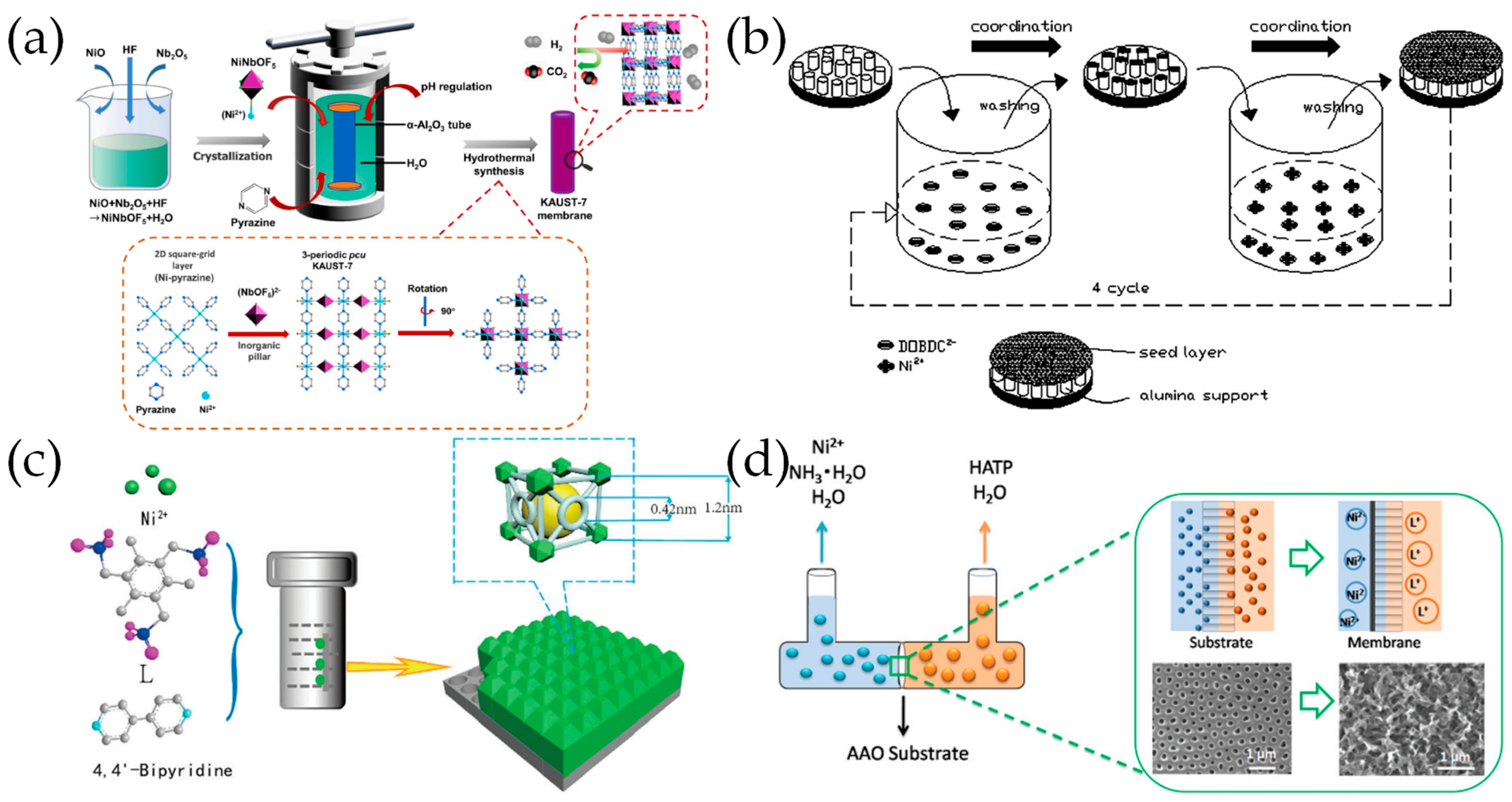 Molecules 29 03885 g008