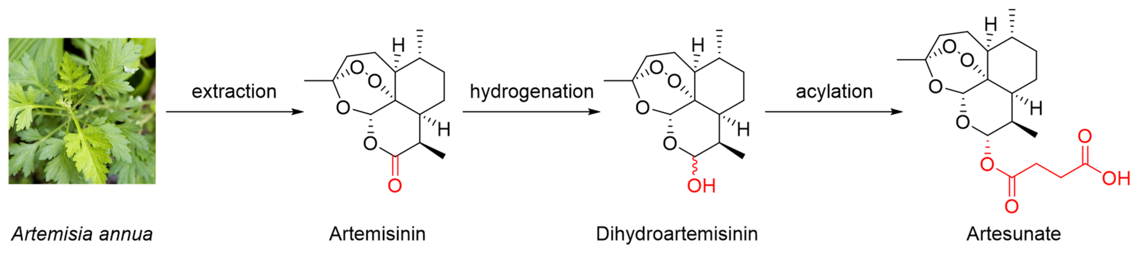 Molecules 29 03886 g001