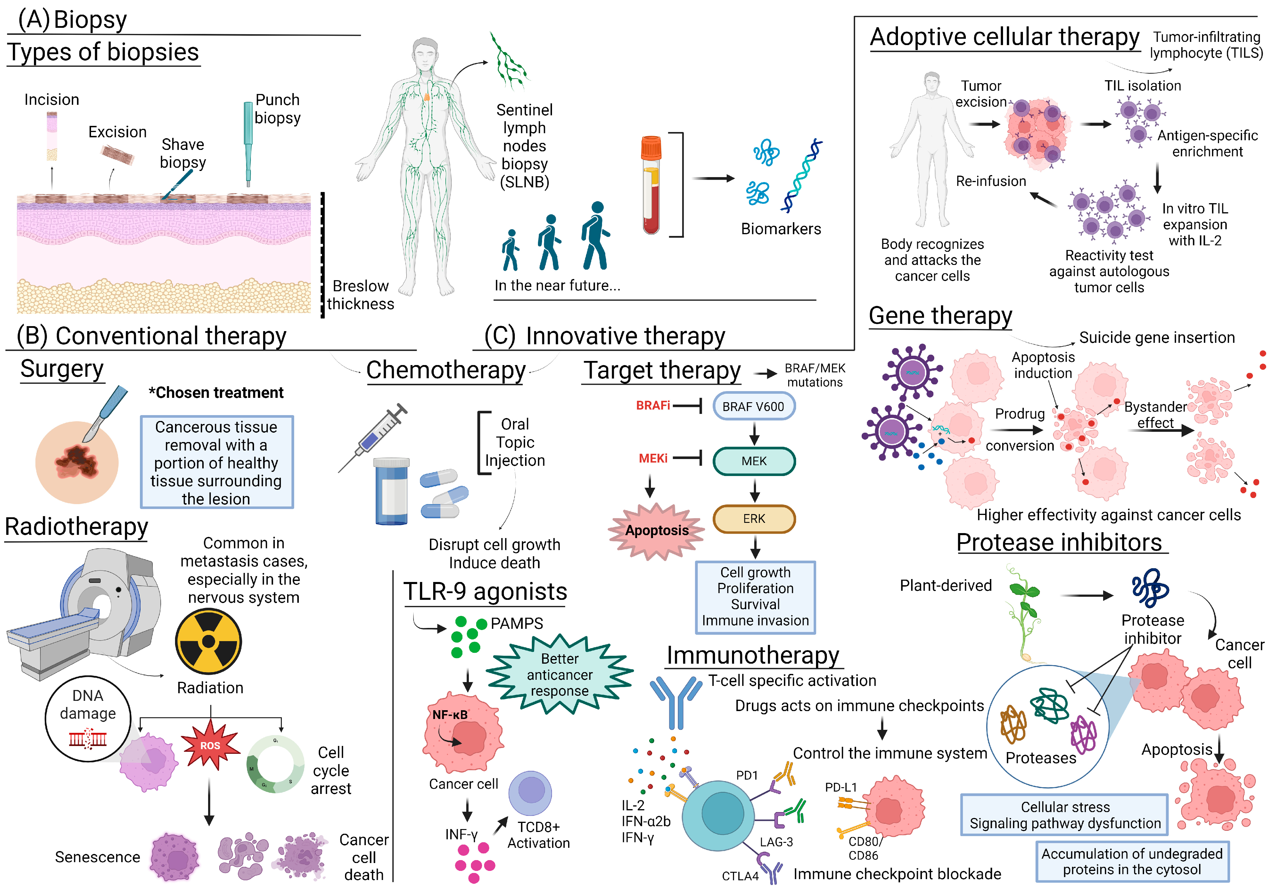 Molecules 29 03891 g002