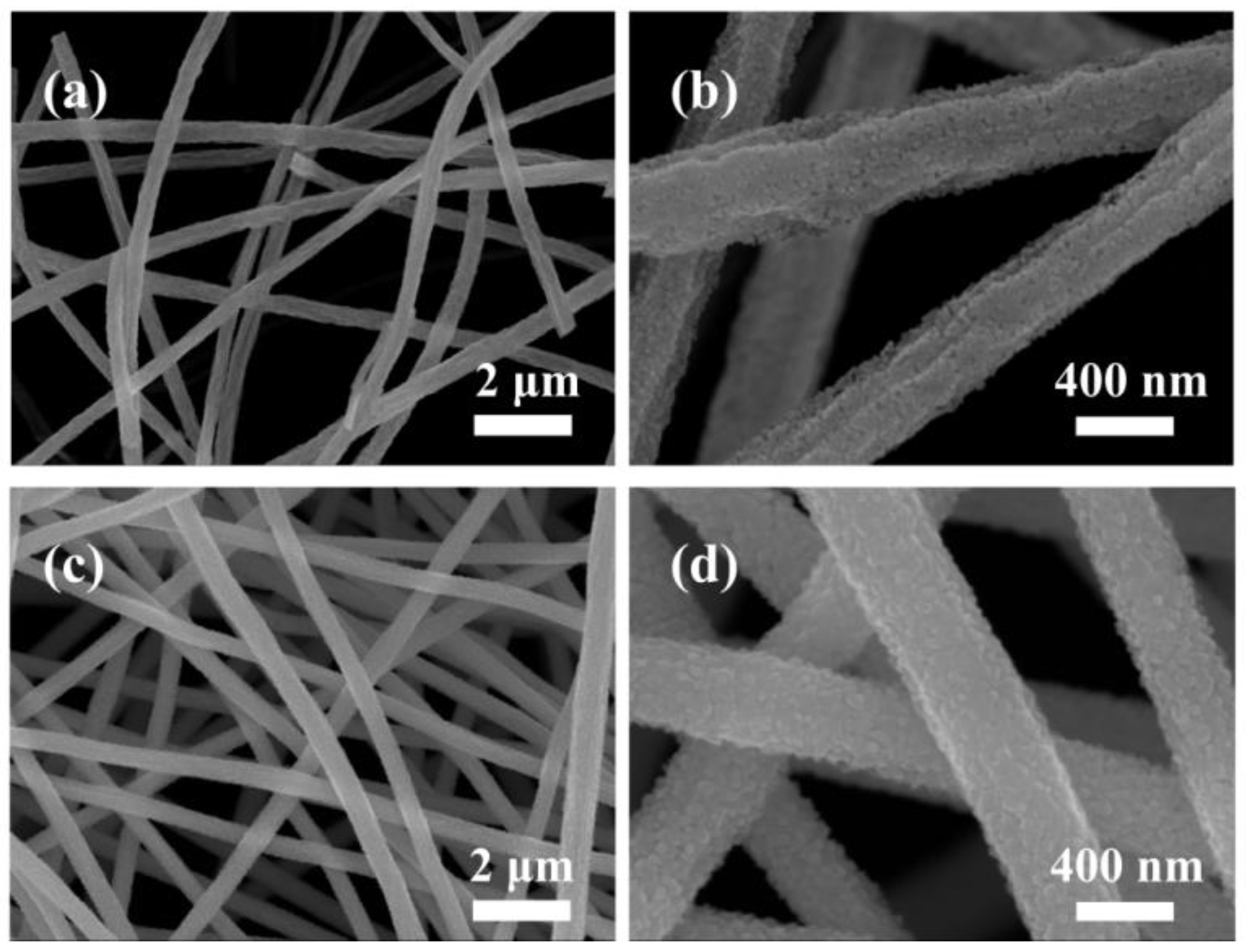 Molecules 29 03892 g002