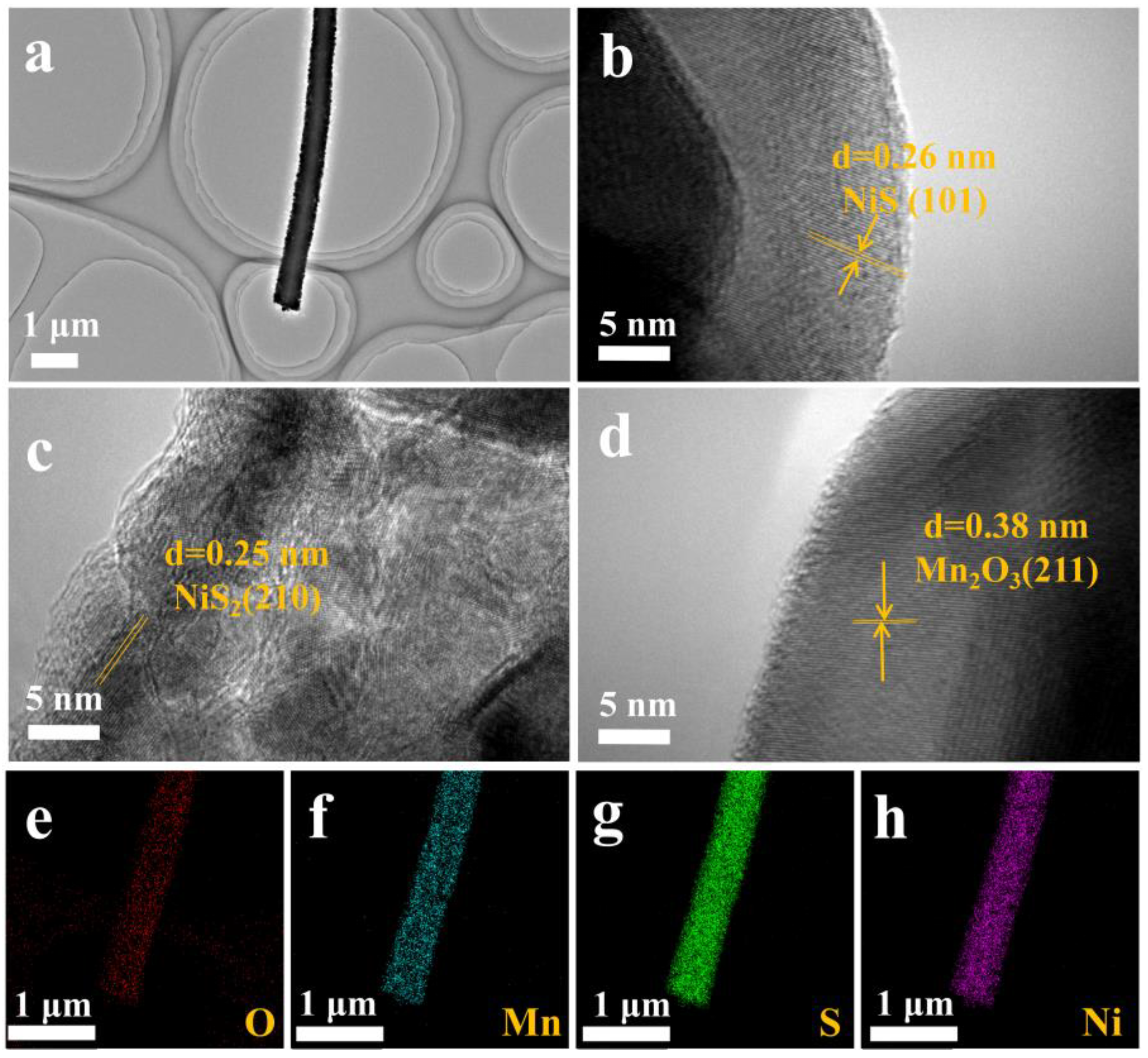 Molecules 29 03892 g003