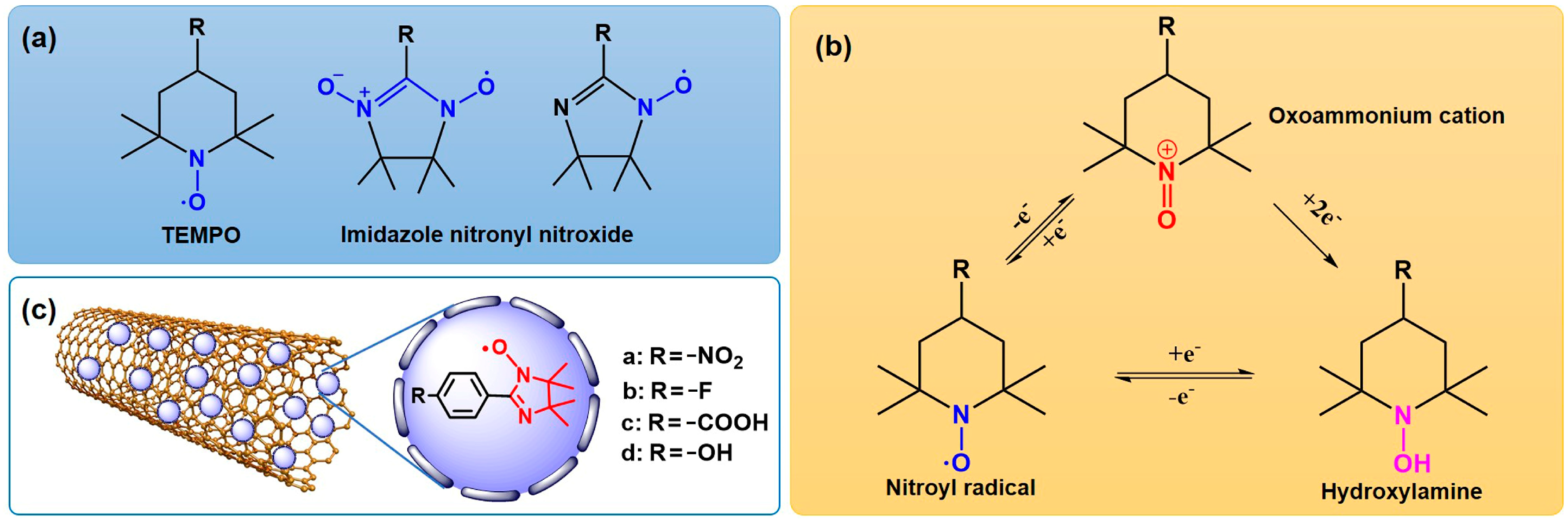 Molecules 29 03896 g001