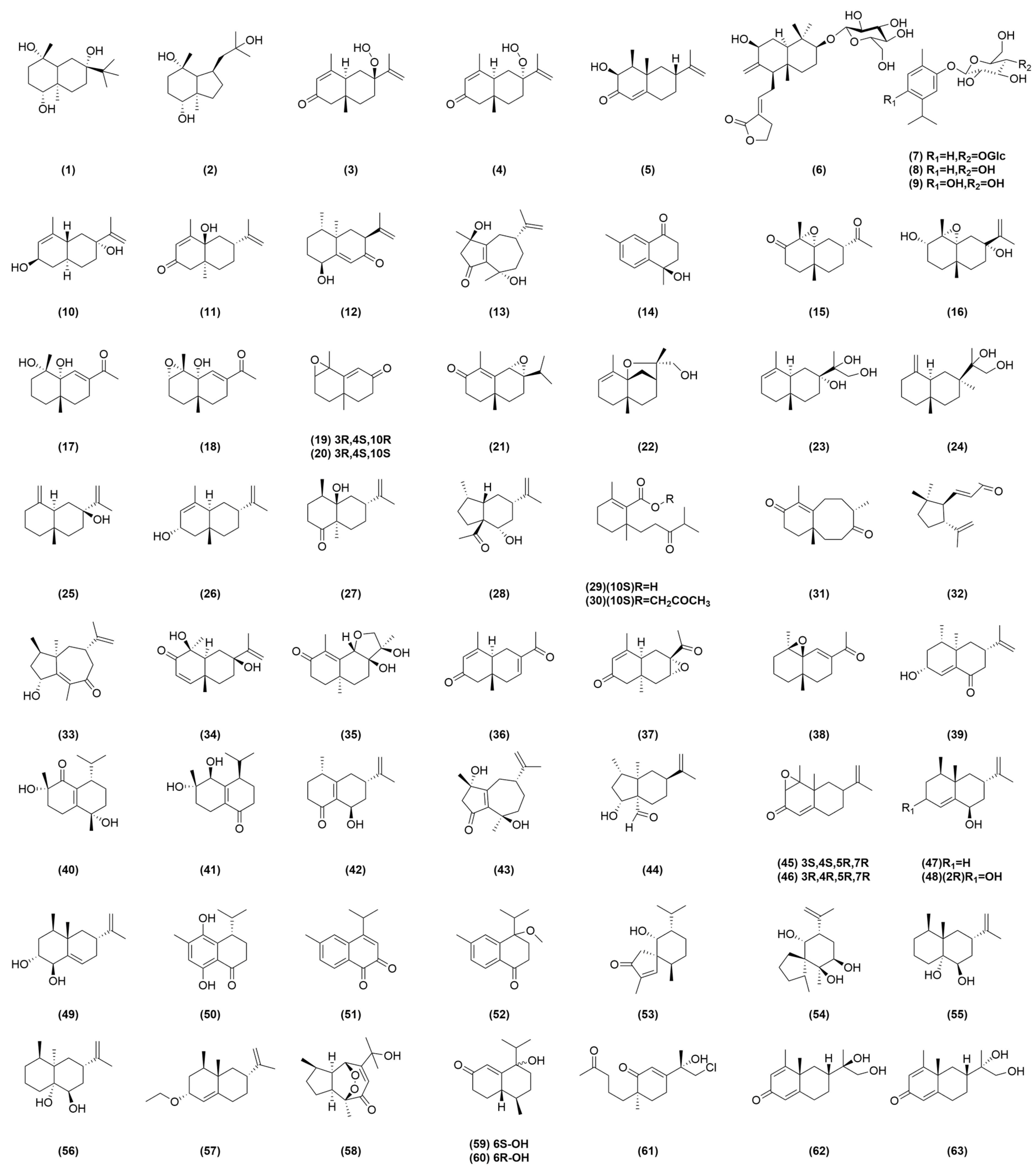 Molecules 29 03905 g001