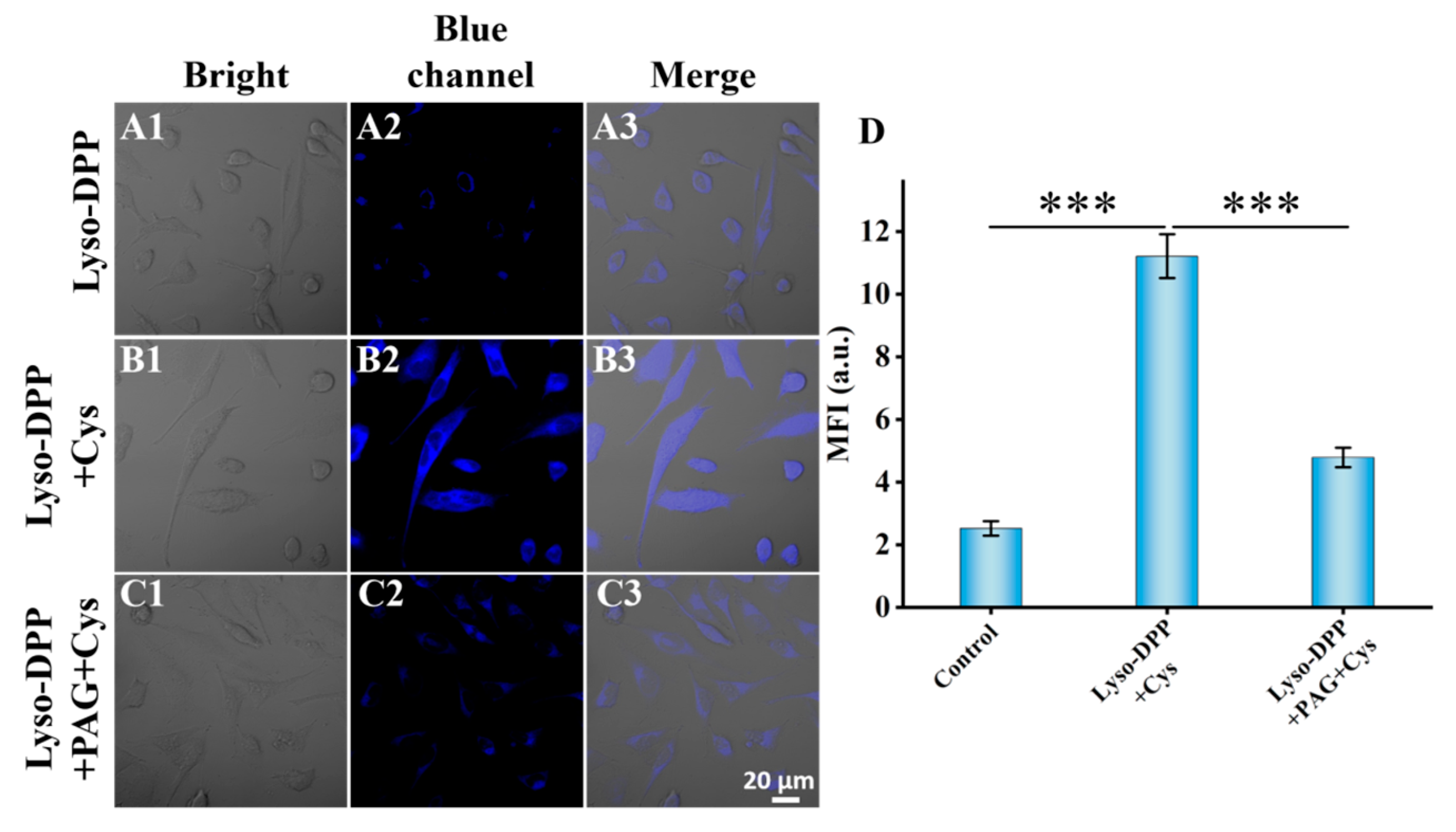 Molecules 29 03906 g003