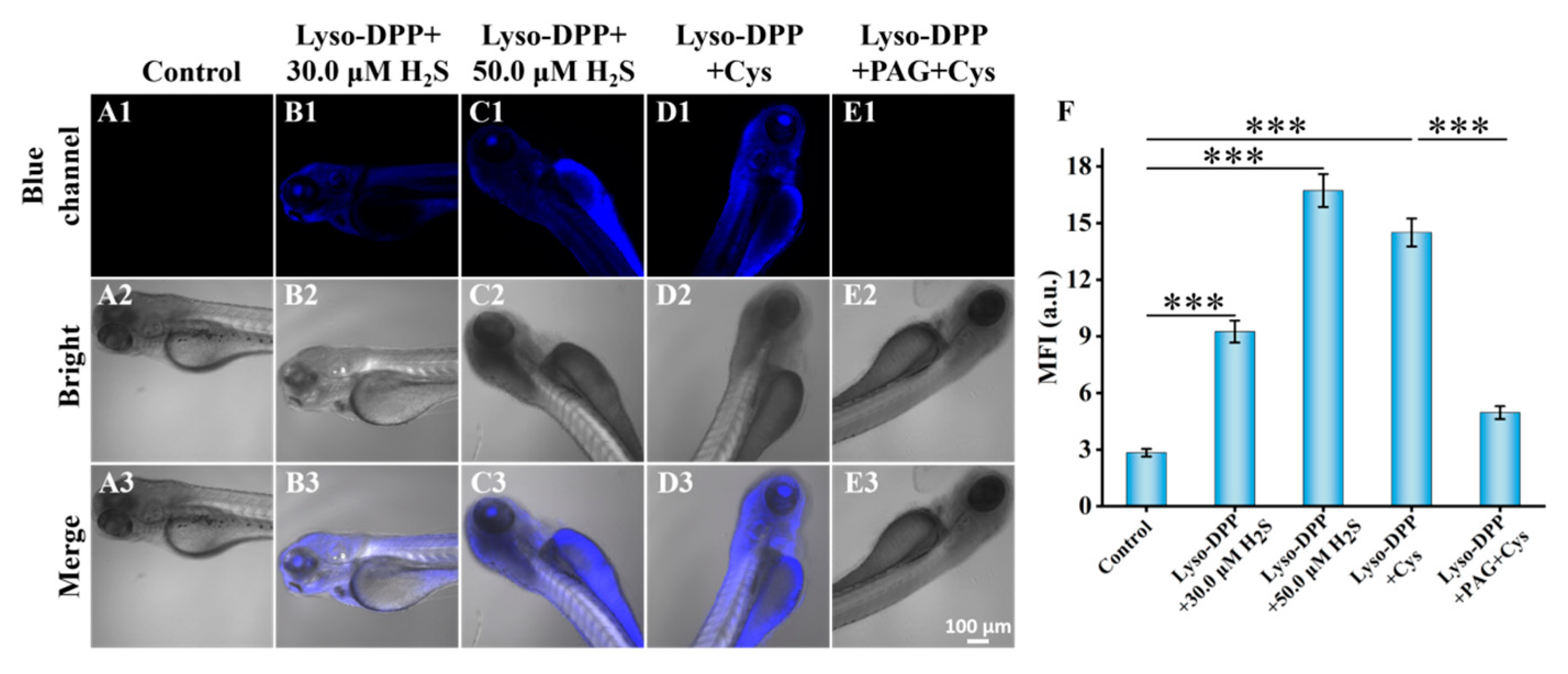 Molecules 29 03906 g005