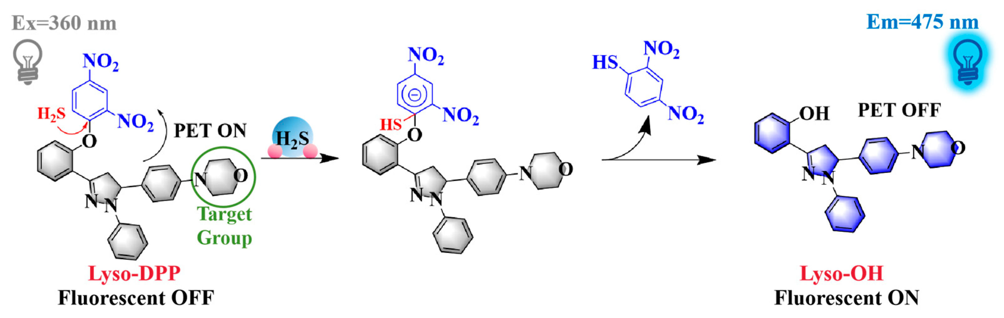 Molecules 29 03906 sch002