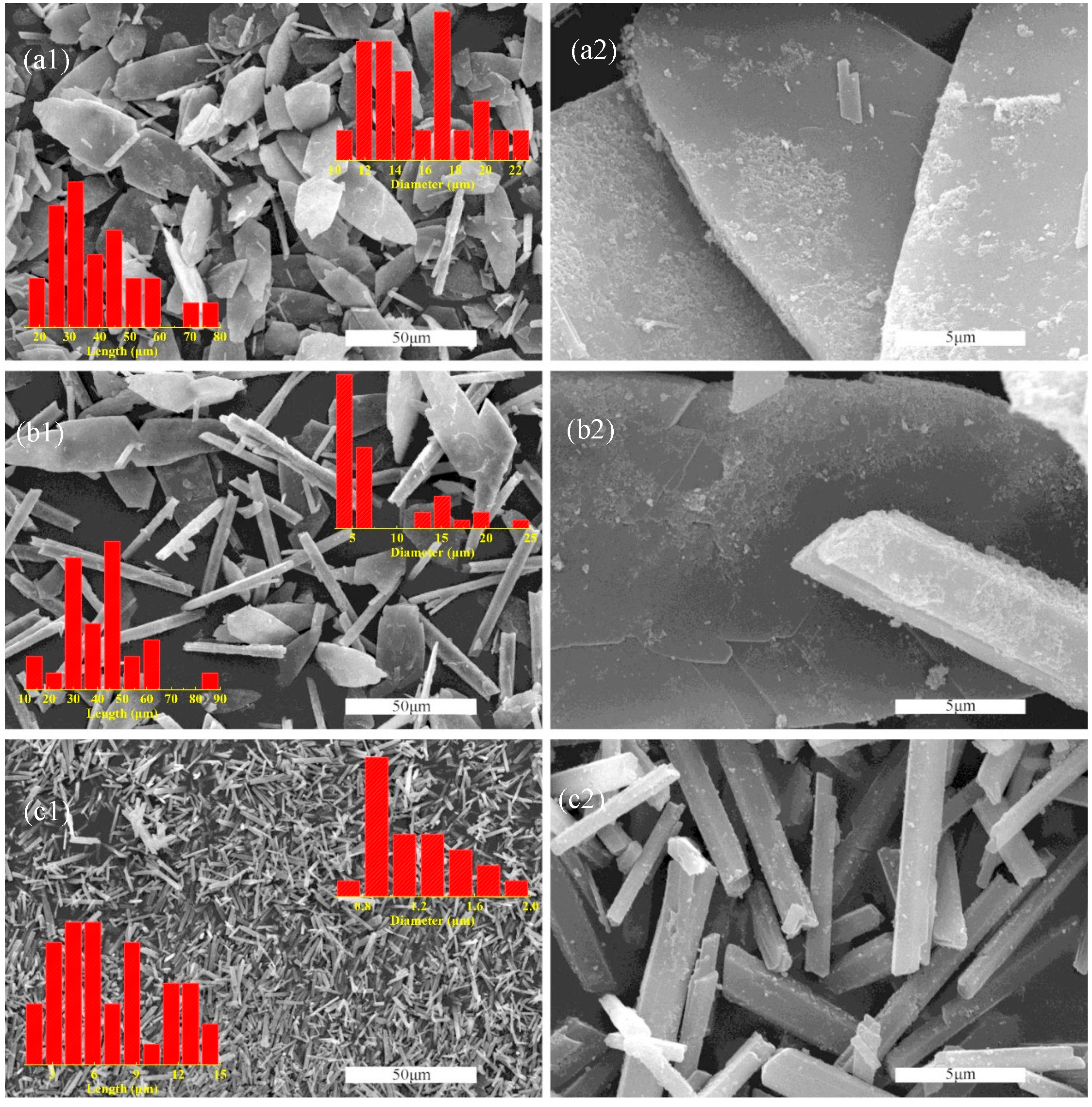 Molecules 29 03910 g001
