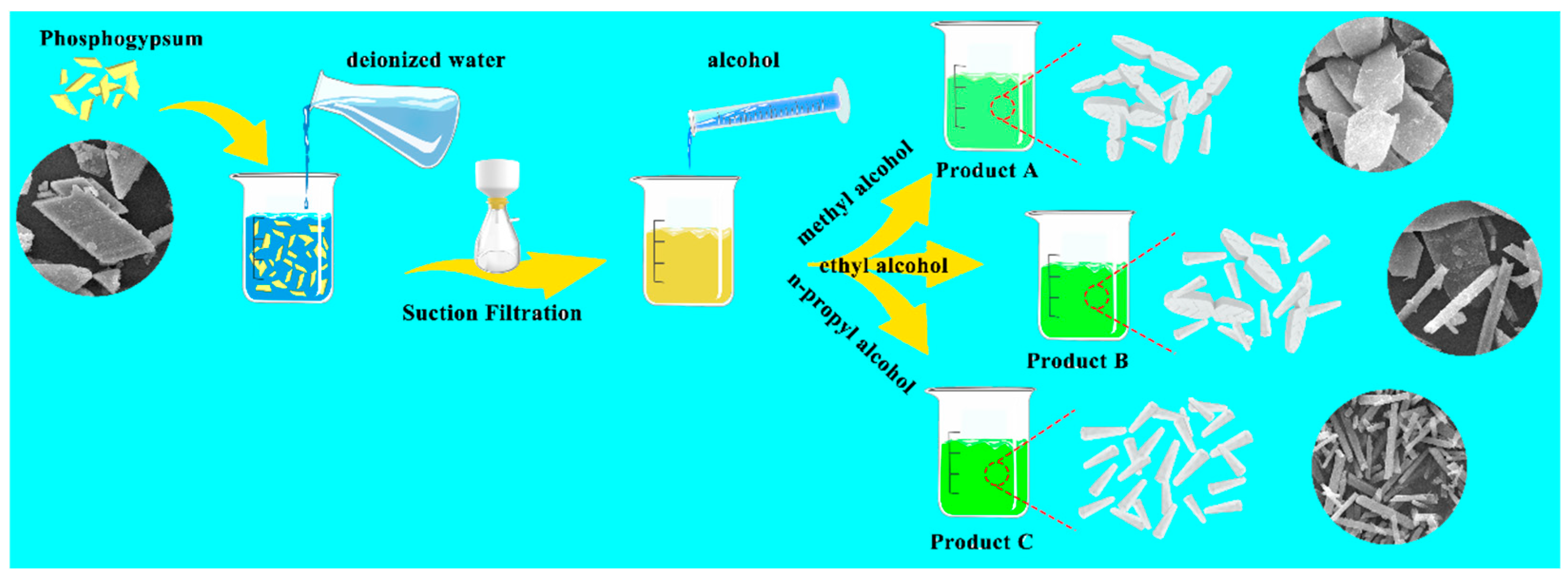 Molecules 29 03910 g008