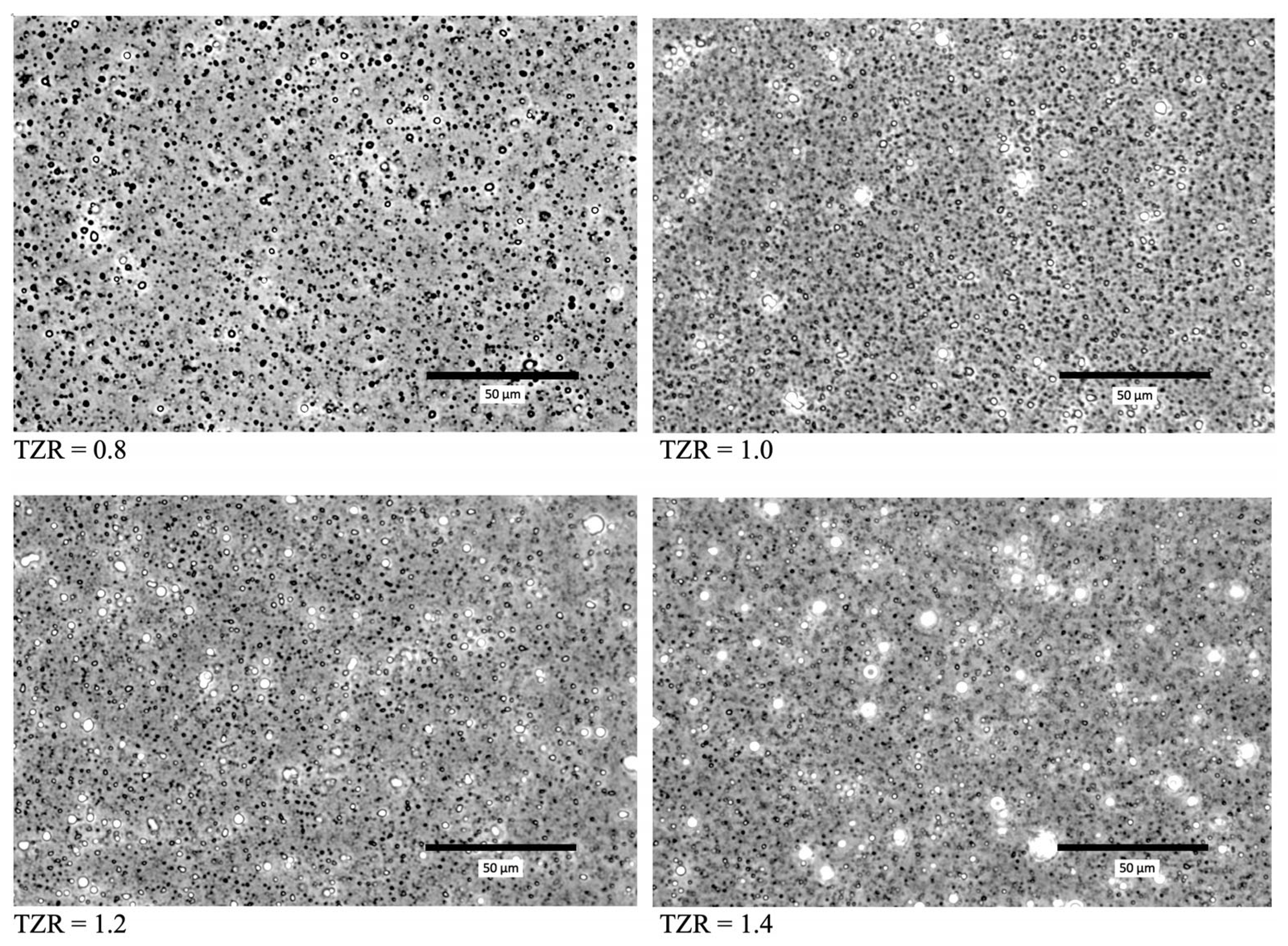 Molecules 29 03911 g004