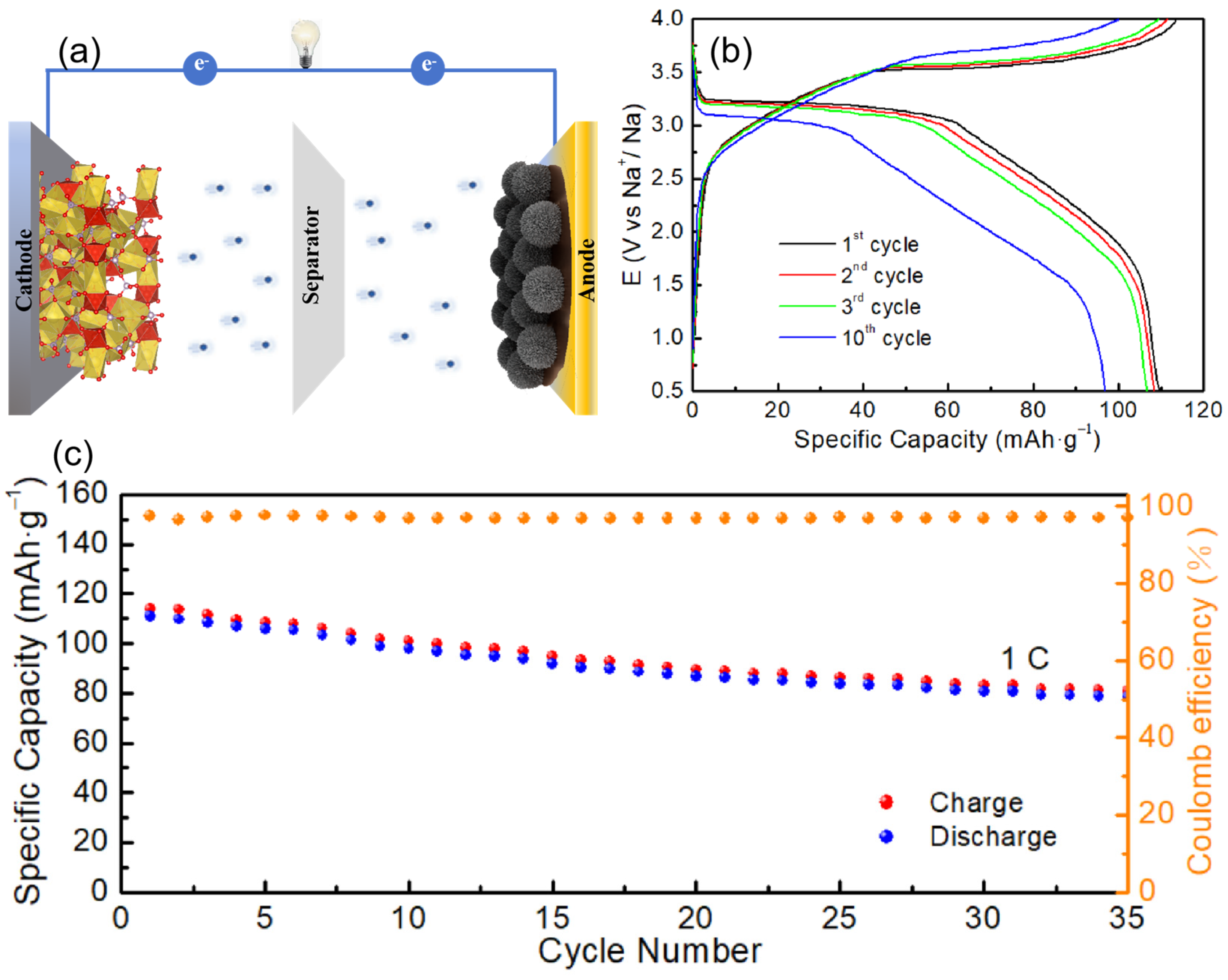 Molecules 29 03912 g007