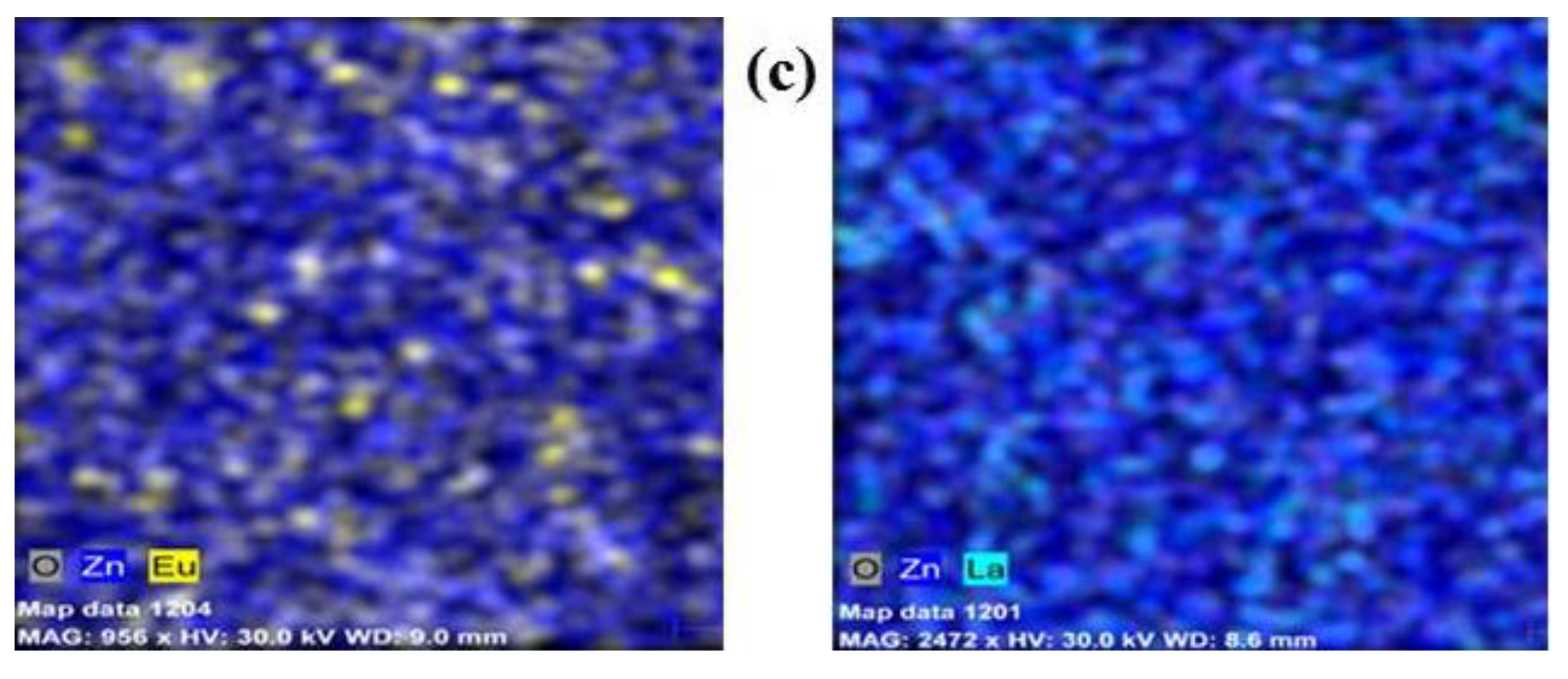 Molecules 29 03913 g002b