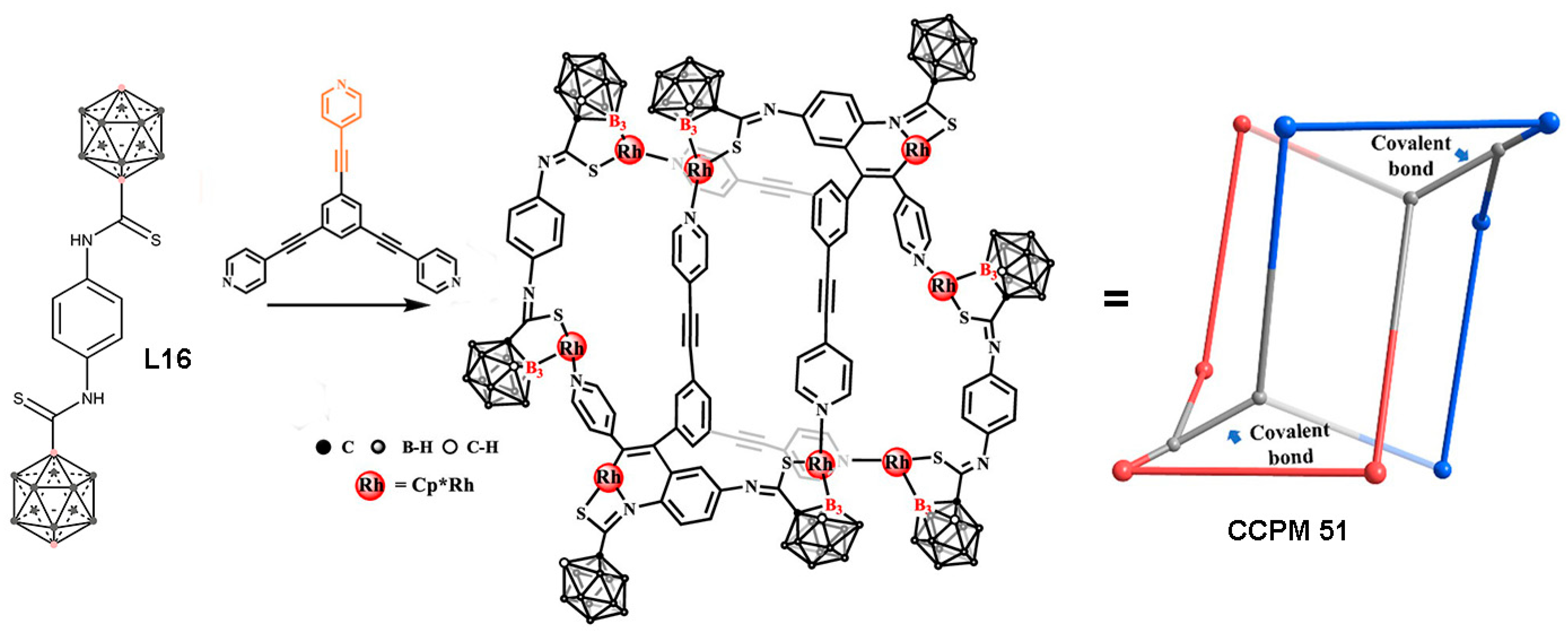 Molecules 29 03916 g006