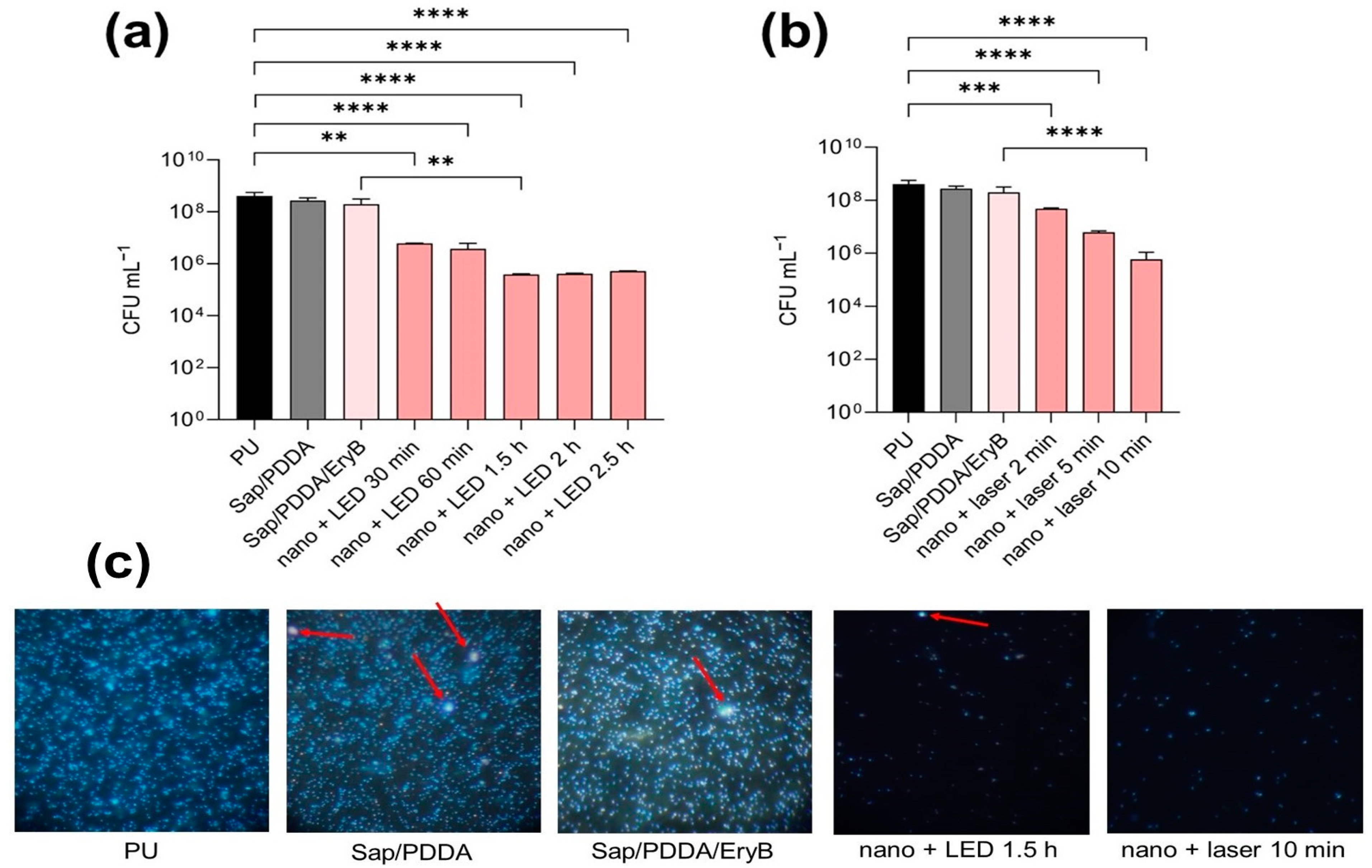 Molecules 29 03917 g006