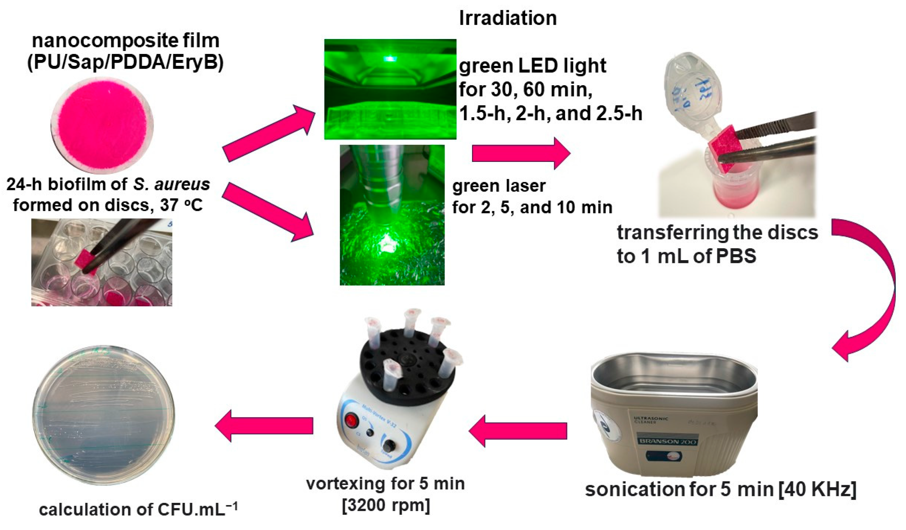 Molecules 29 03917 g007