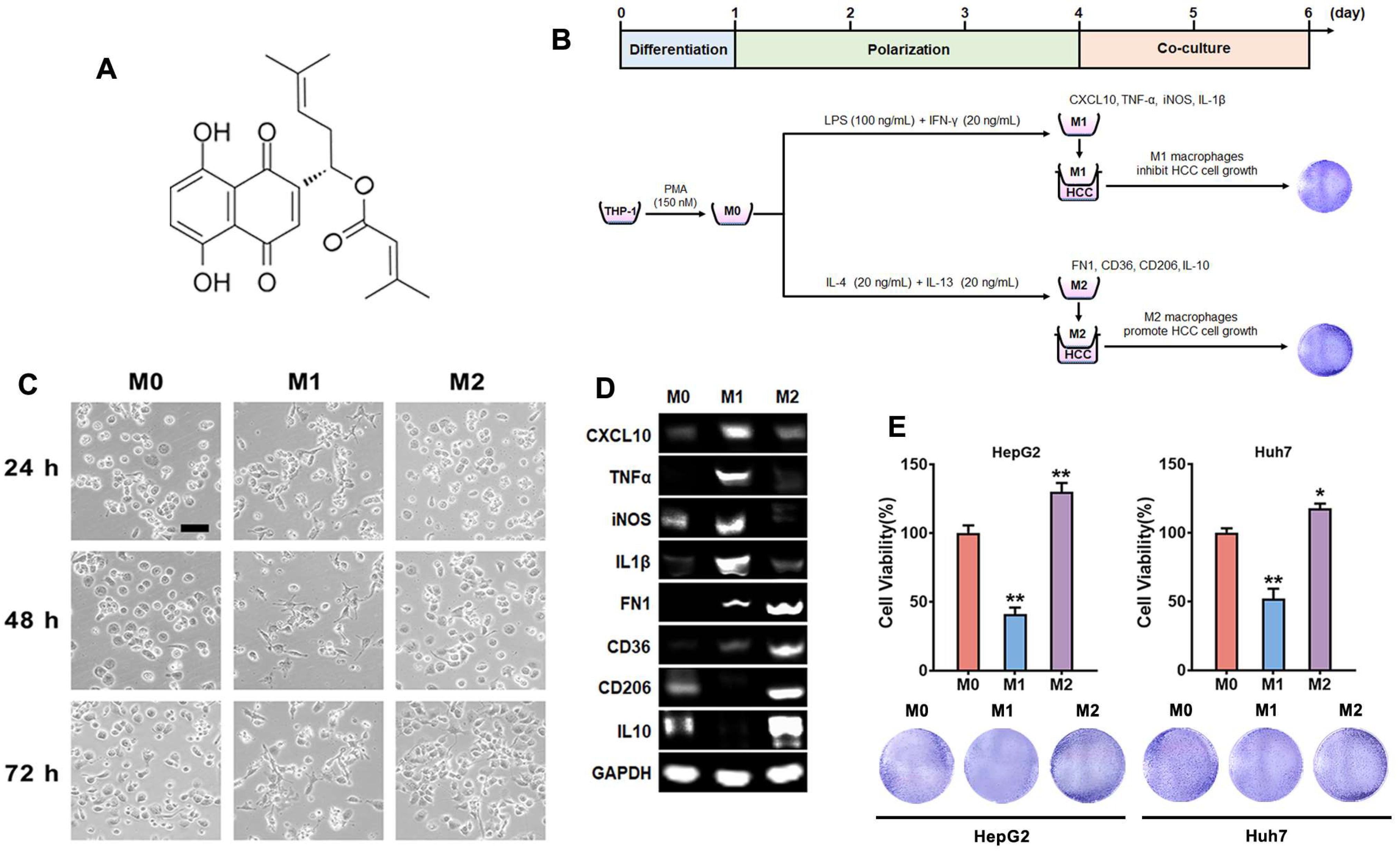 Molecules 29 03919 g001
