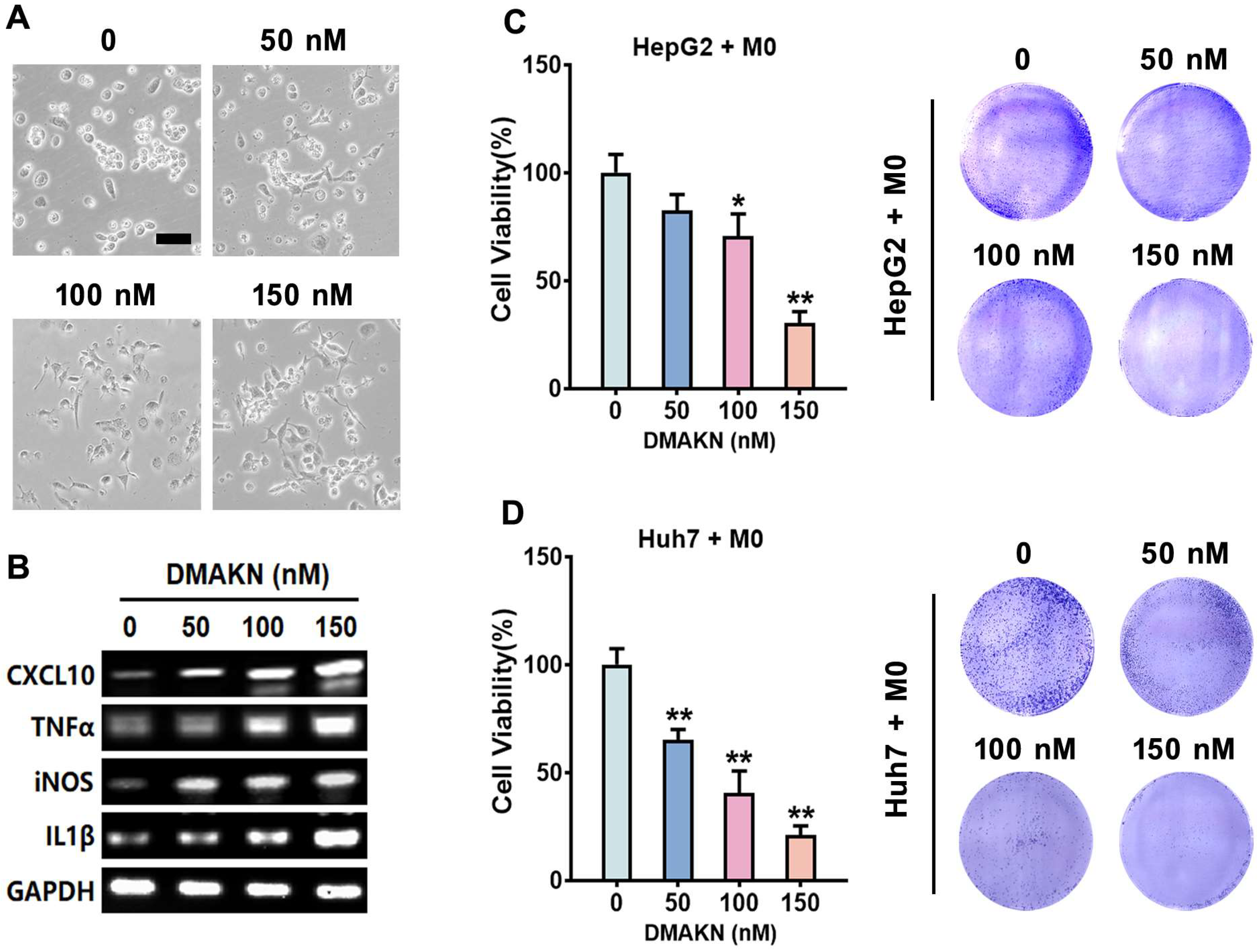 Molecules 29 03919 g003