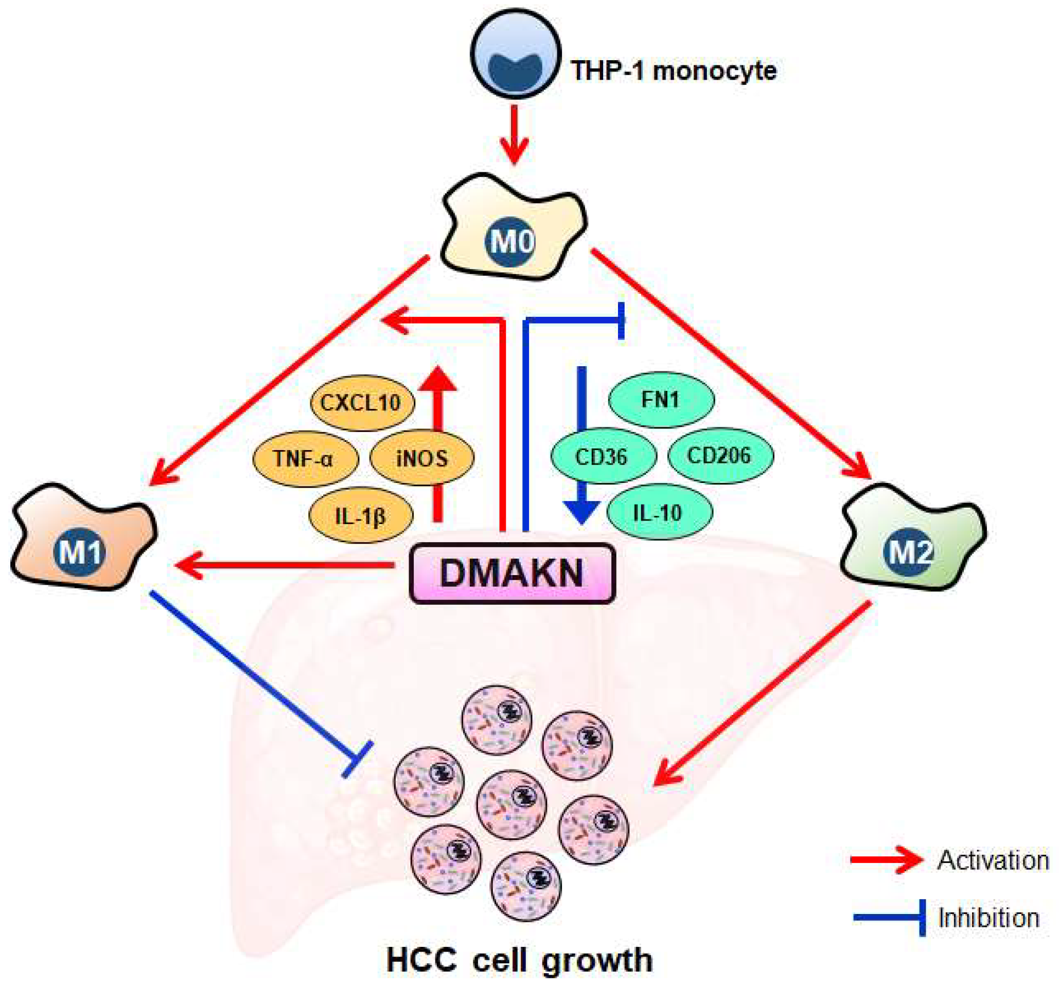 Molecules 29 03919 g006