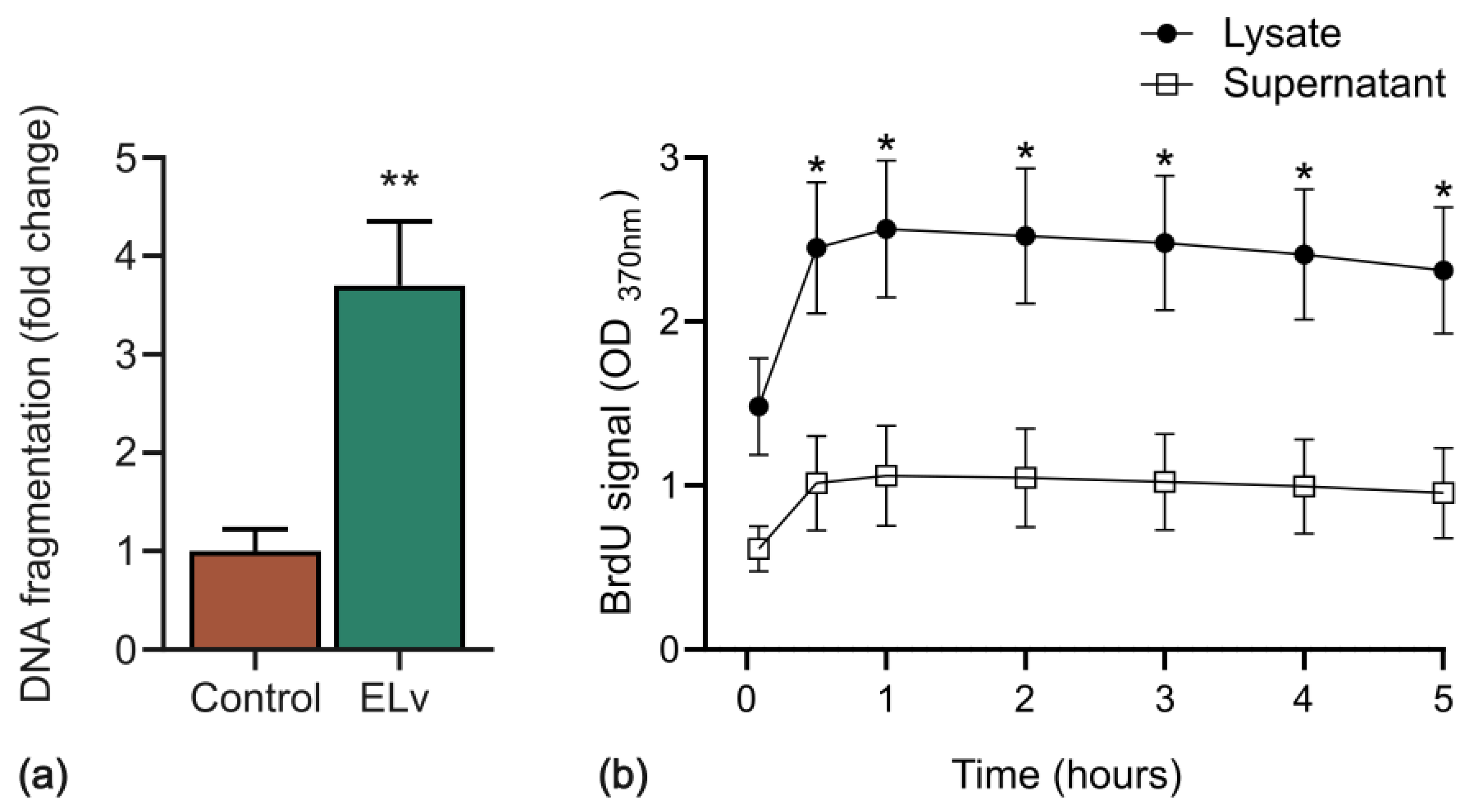 Molecules 29 03920 g004