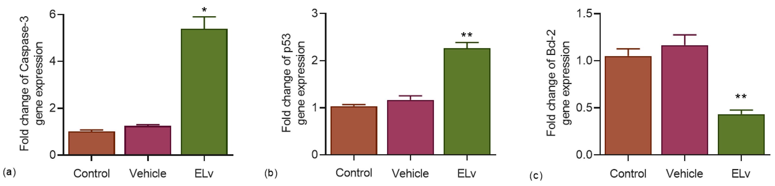Molecules 29 03920 g005