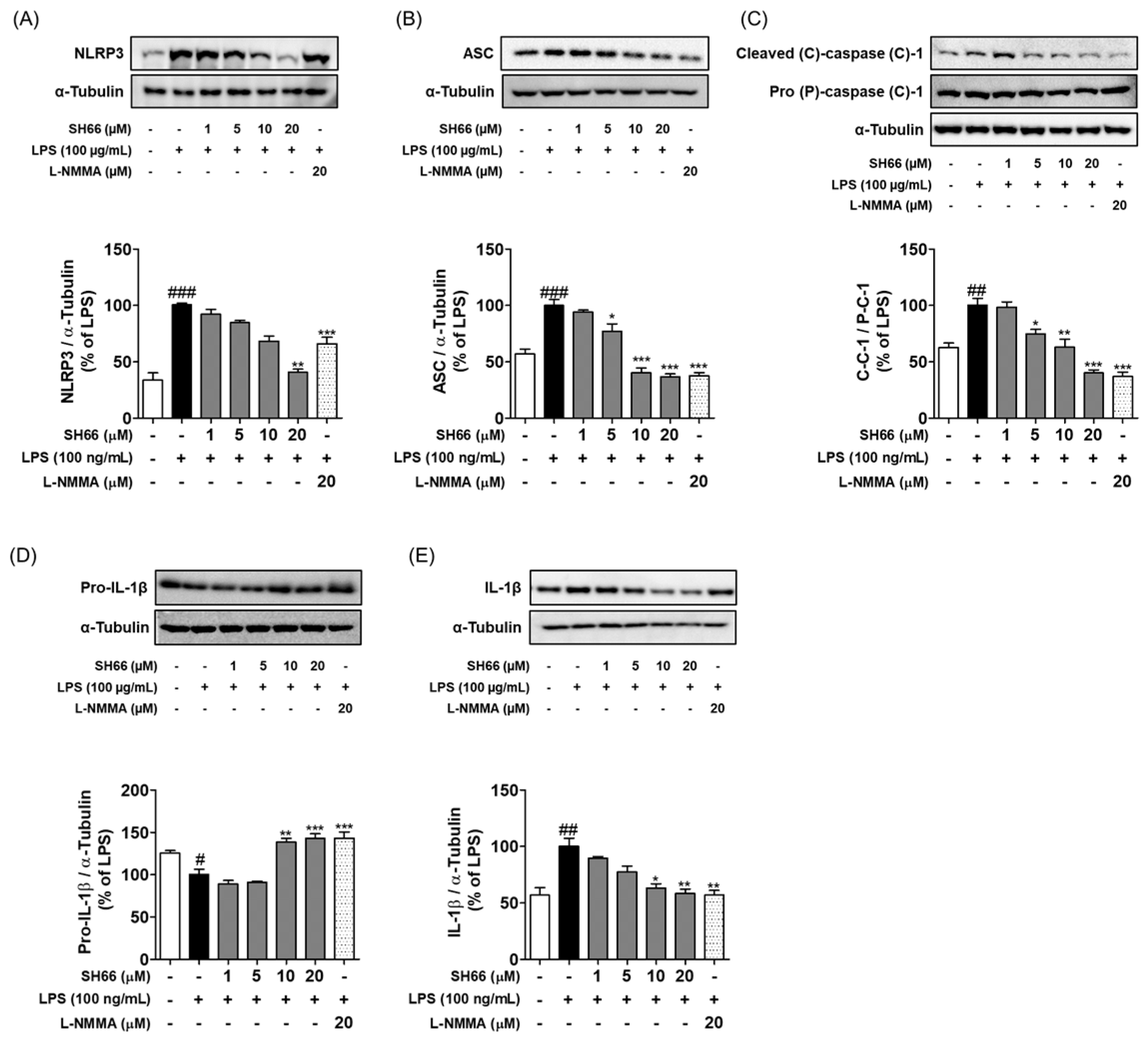 Molecules 29 03926 g004