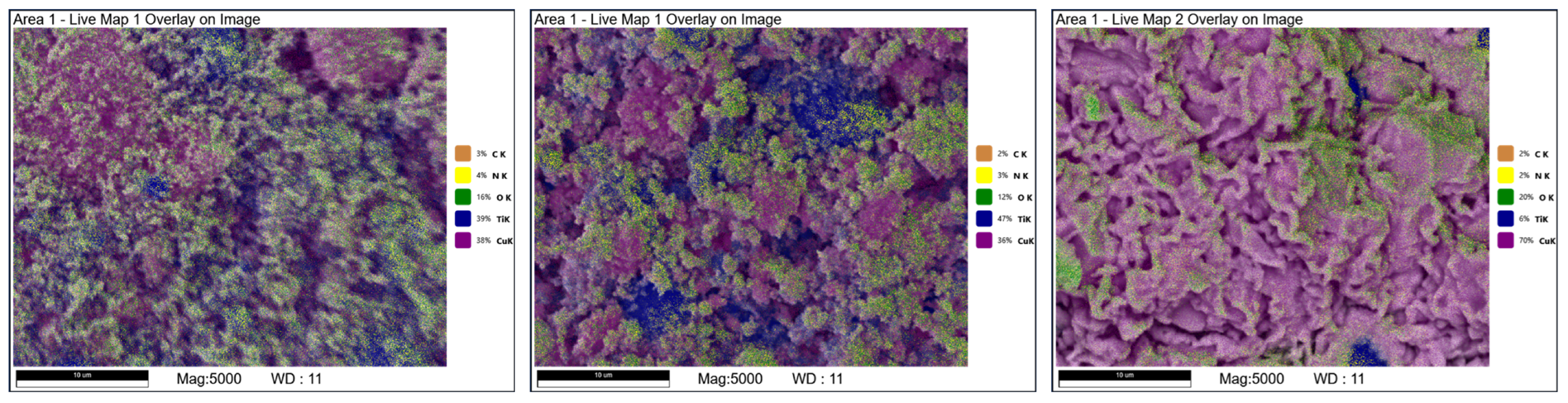 Molecules 29 03932 g002