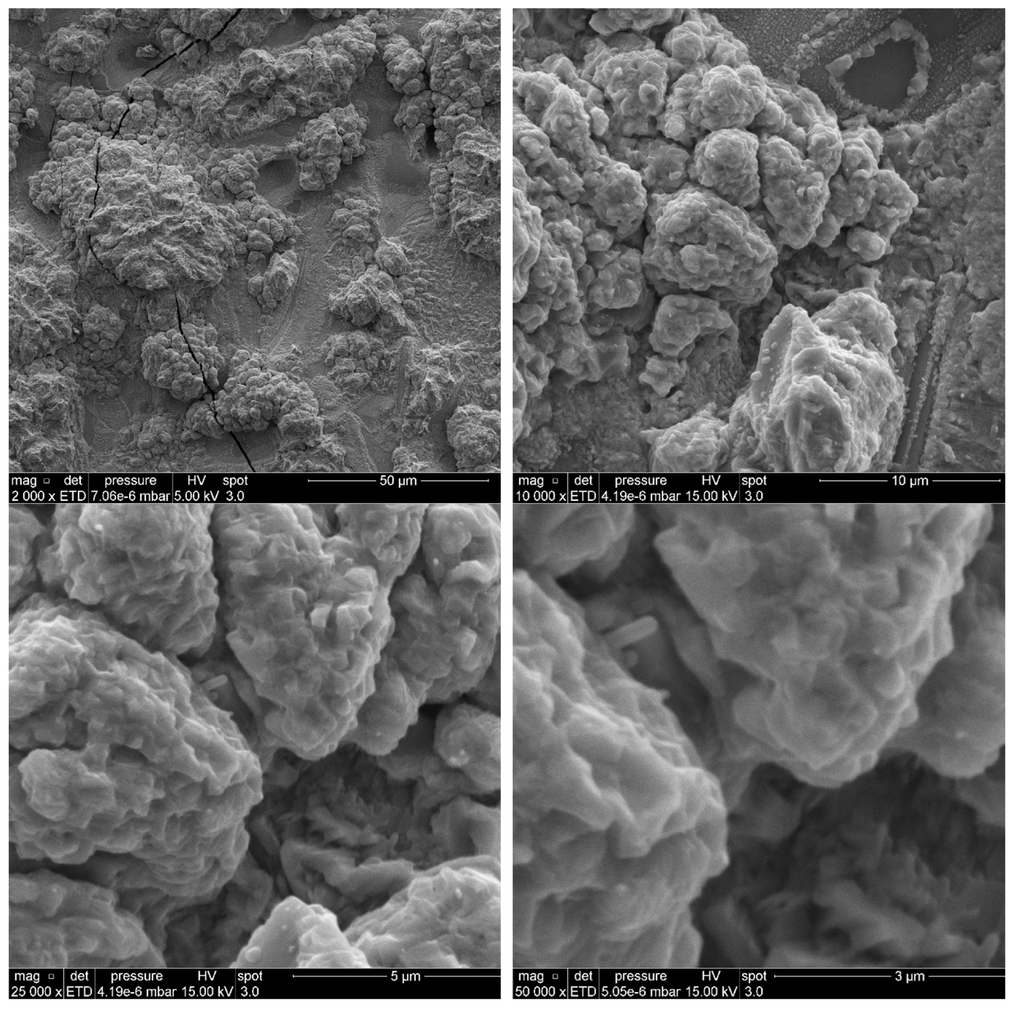 Molecules 29 03932 g0a15